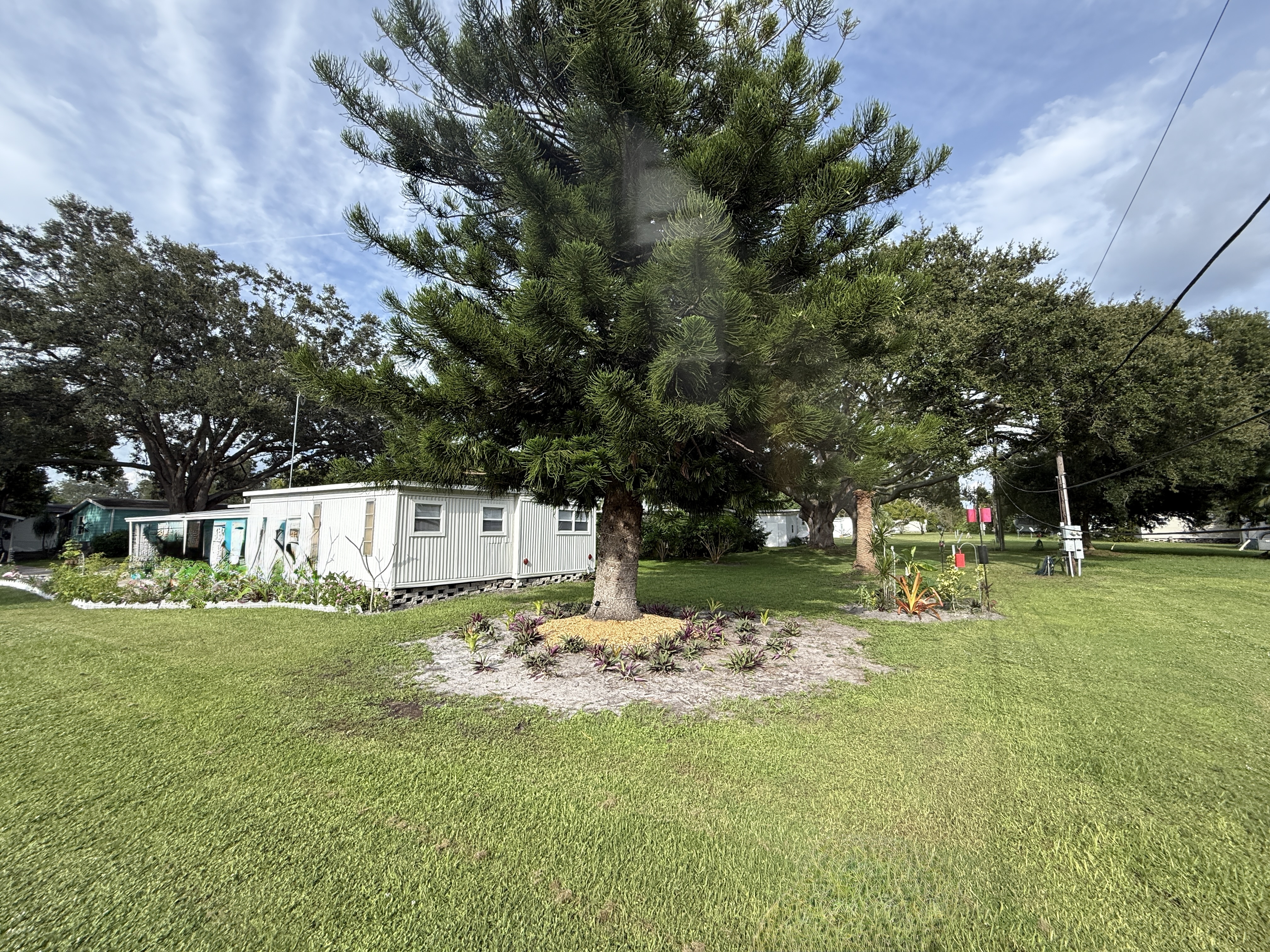 96 Fred Avenue, Dunedin, Florida 34698, 3 Bedrooms Bedrooms, ,1 BathroomBathrooms,55-Plus Mobile Home,For Sale,Fred Avenue,4093