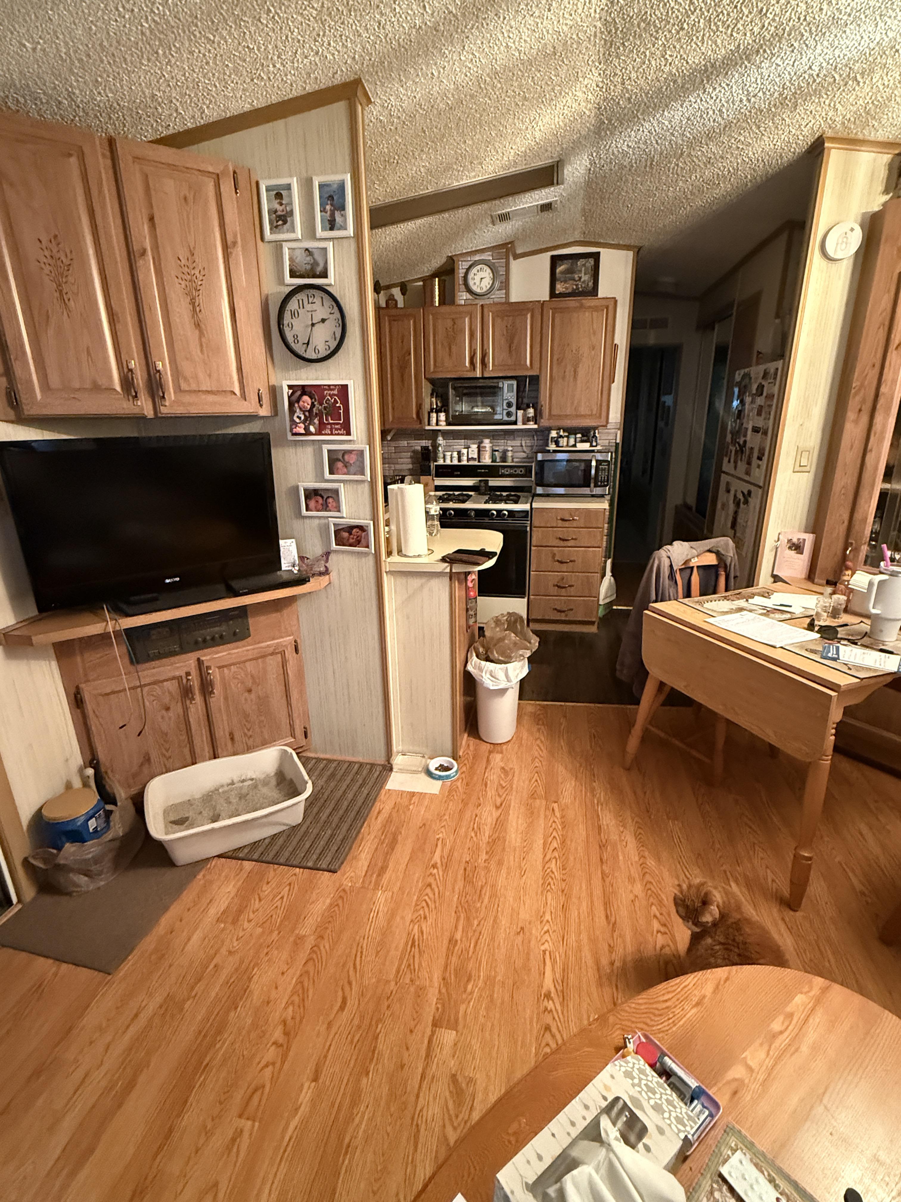 3331 Gall Blvd, Lot 447, Zephyrhills, Florida 33541, 1 Bedroom Bedrooms, ,1 BathroomBathrooms,55-Plus Mobile Home,For Sale,Gall Blvd, Lot 447,4094