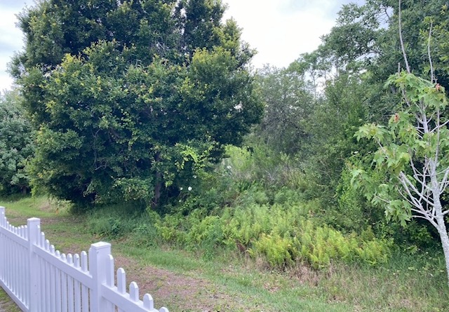 100 Hampton Road, Lot 299, Clearwater, Florida 33759, 2 Bedrooms Bedrooms, ,2 BathroomsBathrooms,55-Plus Mobile Home,For Sale,Hampton Road, Lot 299,4116