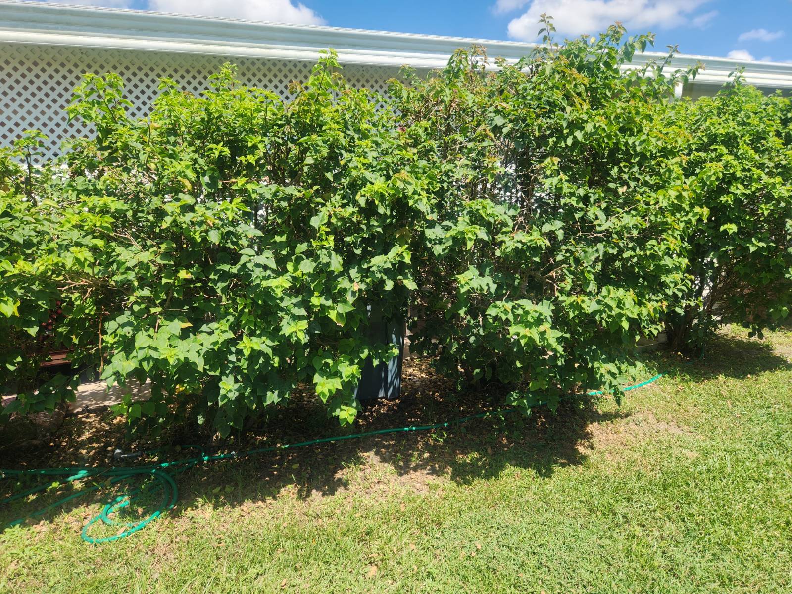 3903 Midway Drive, Ellenton, Florida 34222, 3 Bedrooms Bedrooms, ,2 BathroomsBathrooms,55-Plus Mobile Home,For Sale,Midway Drive,4118