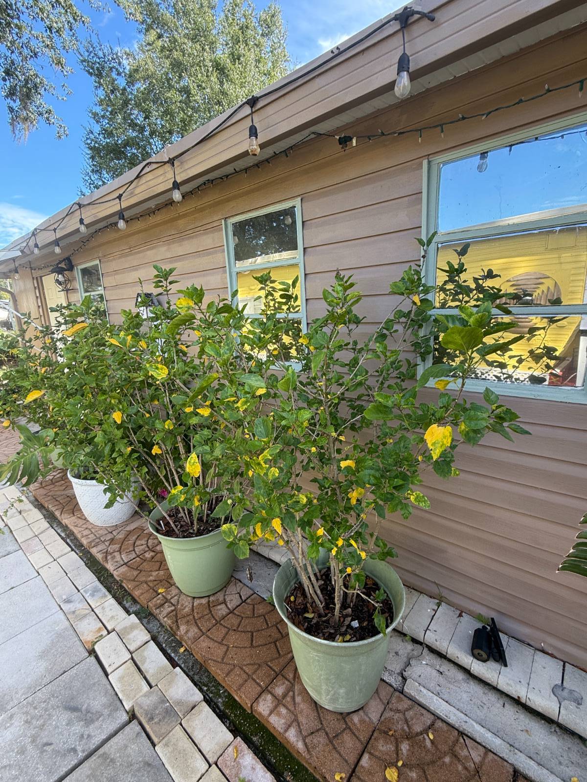 34649 Nancy St, Zephyrhills, Florida 33541, 2 Bedrooms Bedrooms, ,1 BathroomBathrooms,55-Plus Mobile Home,For Sale,Nancy St,4119