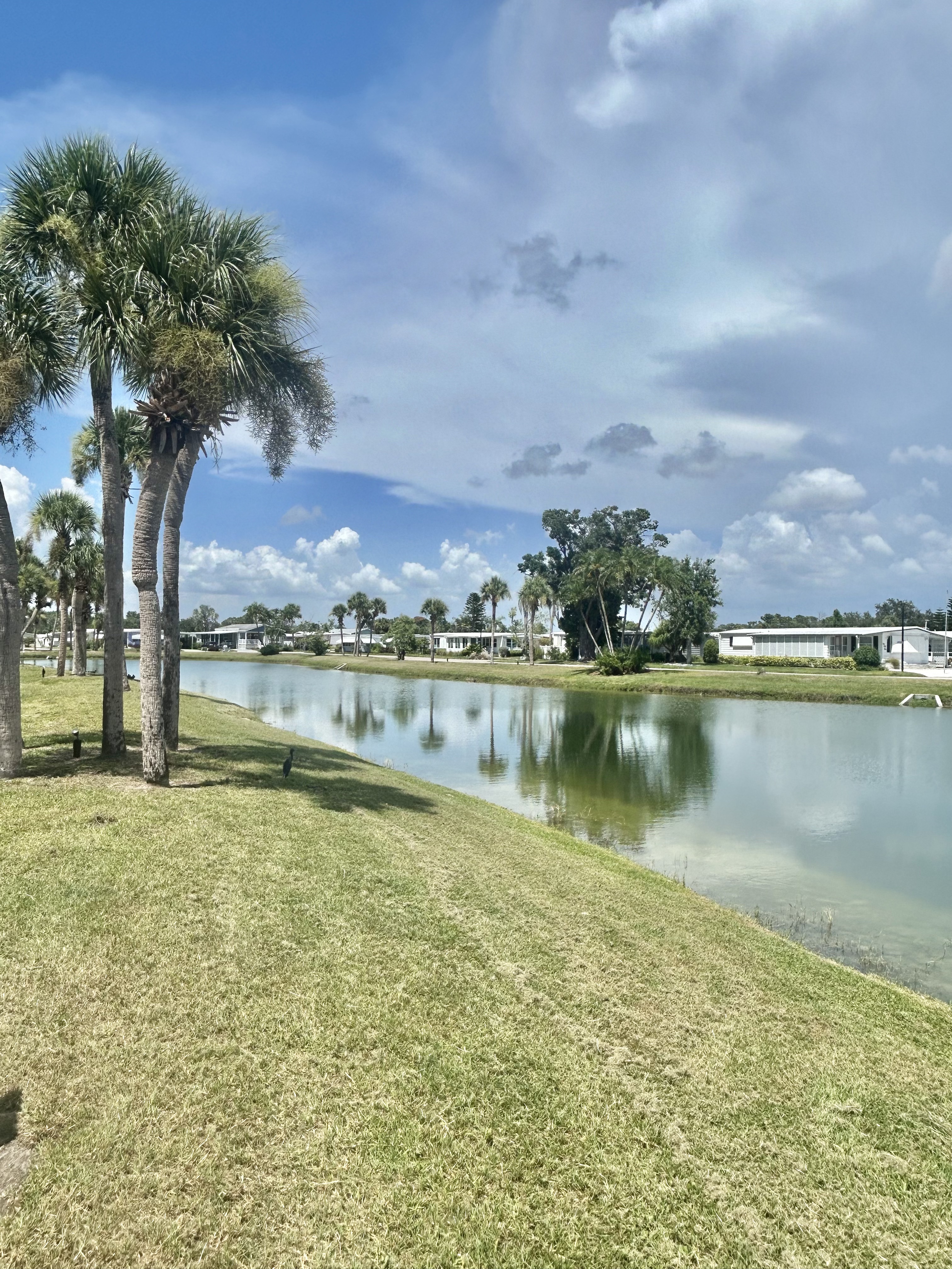 893 Zacapa Avenue, Venice, Florida 34285, 2 Bedrooms Bedrooms, ,2 BathroomsBathrooms,55-Plus Mobile Home,For Sale,Zacapa Avenue,4128