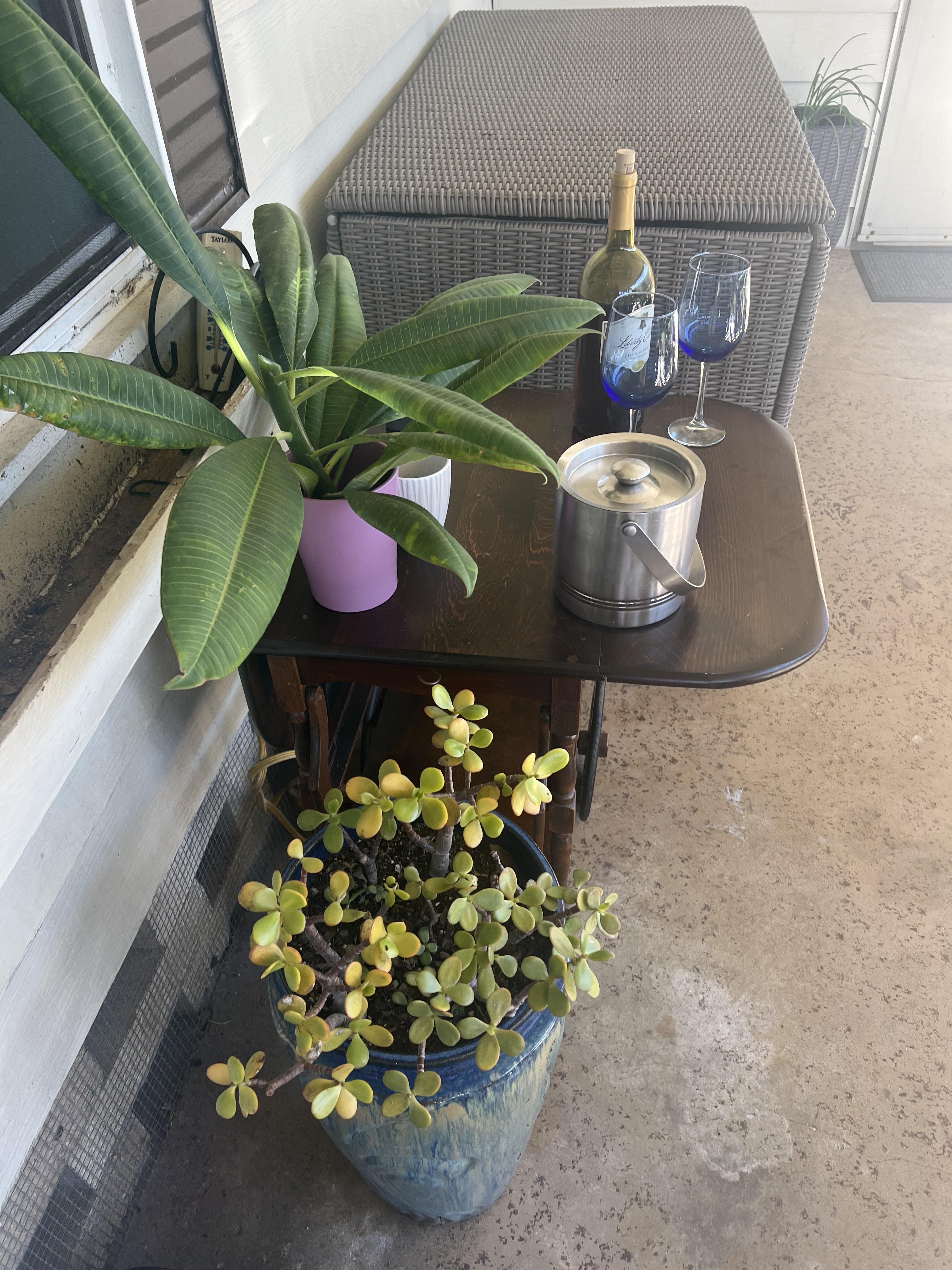 5700 Bayshore Road, Lot 818, Palmetto, Florida 34221, 2 Bedrooms Bedrooms, ,2 BathroomsBathrooms,55-Plus Mobile Home,For Sale,Bayshore Road, Lot 818,4132
