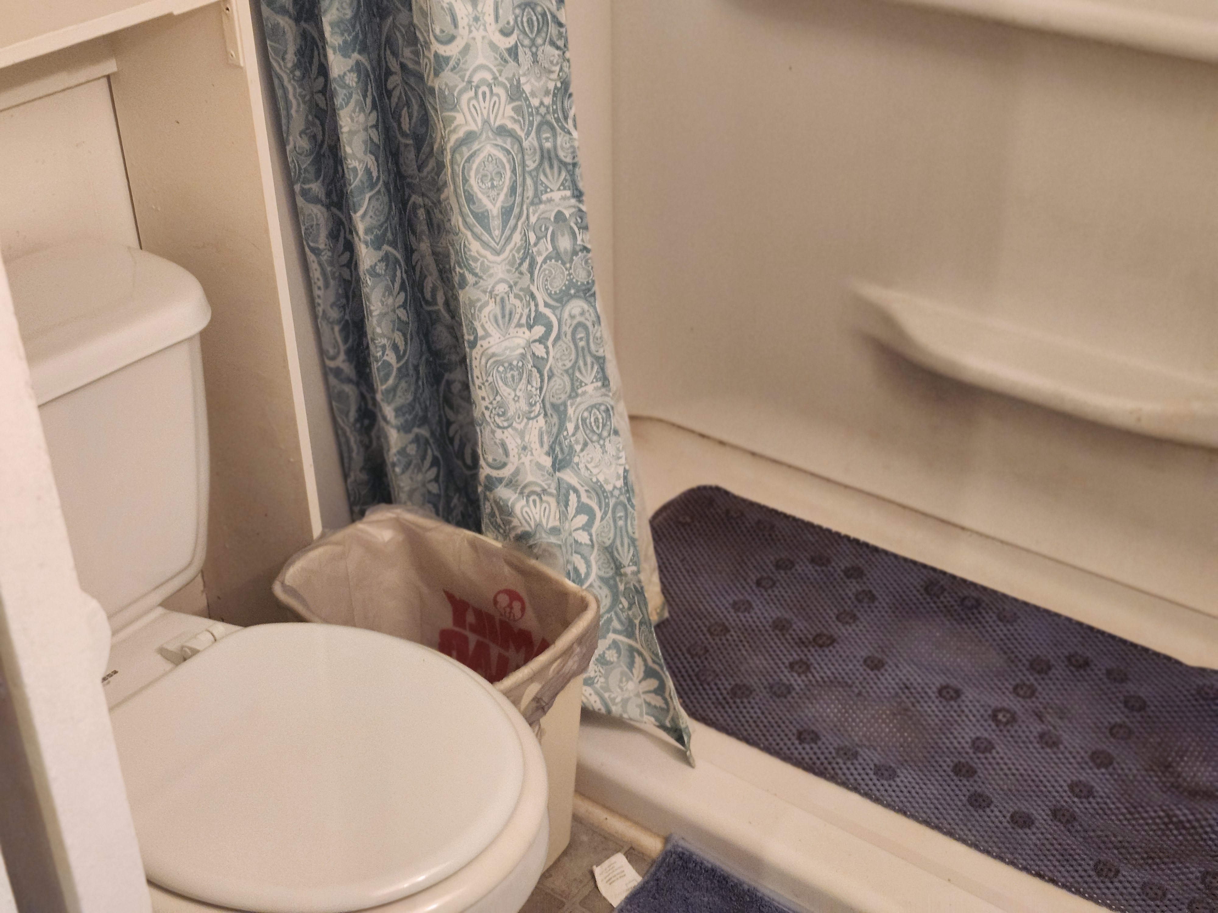 4300 E Bay Drive, Lot 429, Clearwater, Florida 33764, 2 Bedrooms Bedrooms, ,1 BathroomBathrooms,55-Plus Mobile Home,For Sale,E Bay Drive, Lot 429,4136