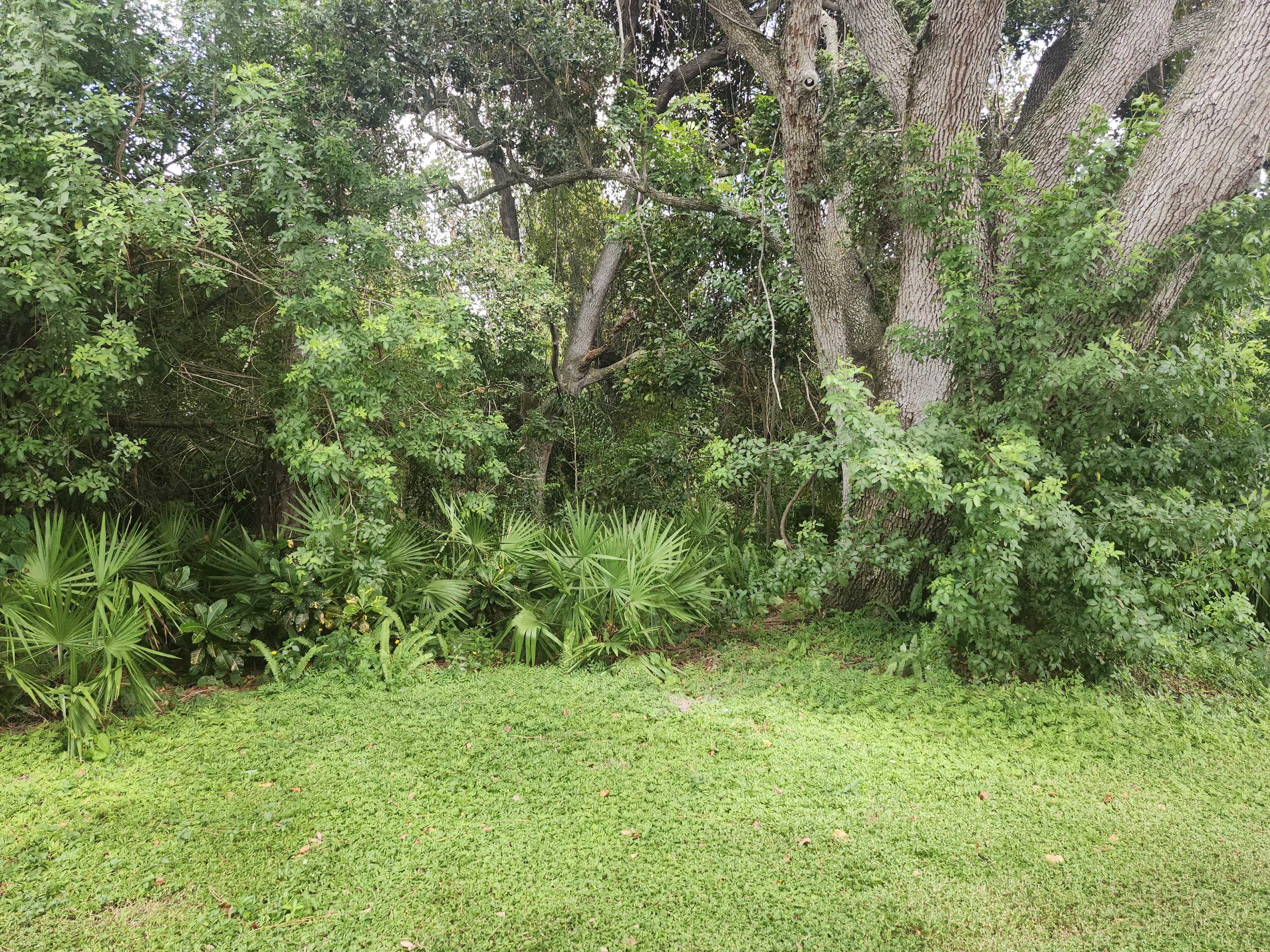 4300 E Bay Drive, Lot 429, Clearwater, Florida 33764, 2 Bedrooms Bedrooms, ,1 BathroomBathrooms,55-Plus Mobile Home,For Sale,E Bay Drive, Lot 429,4136