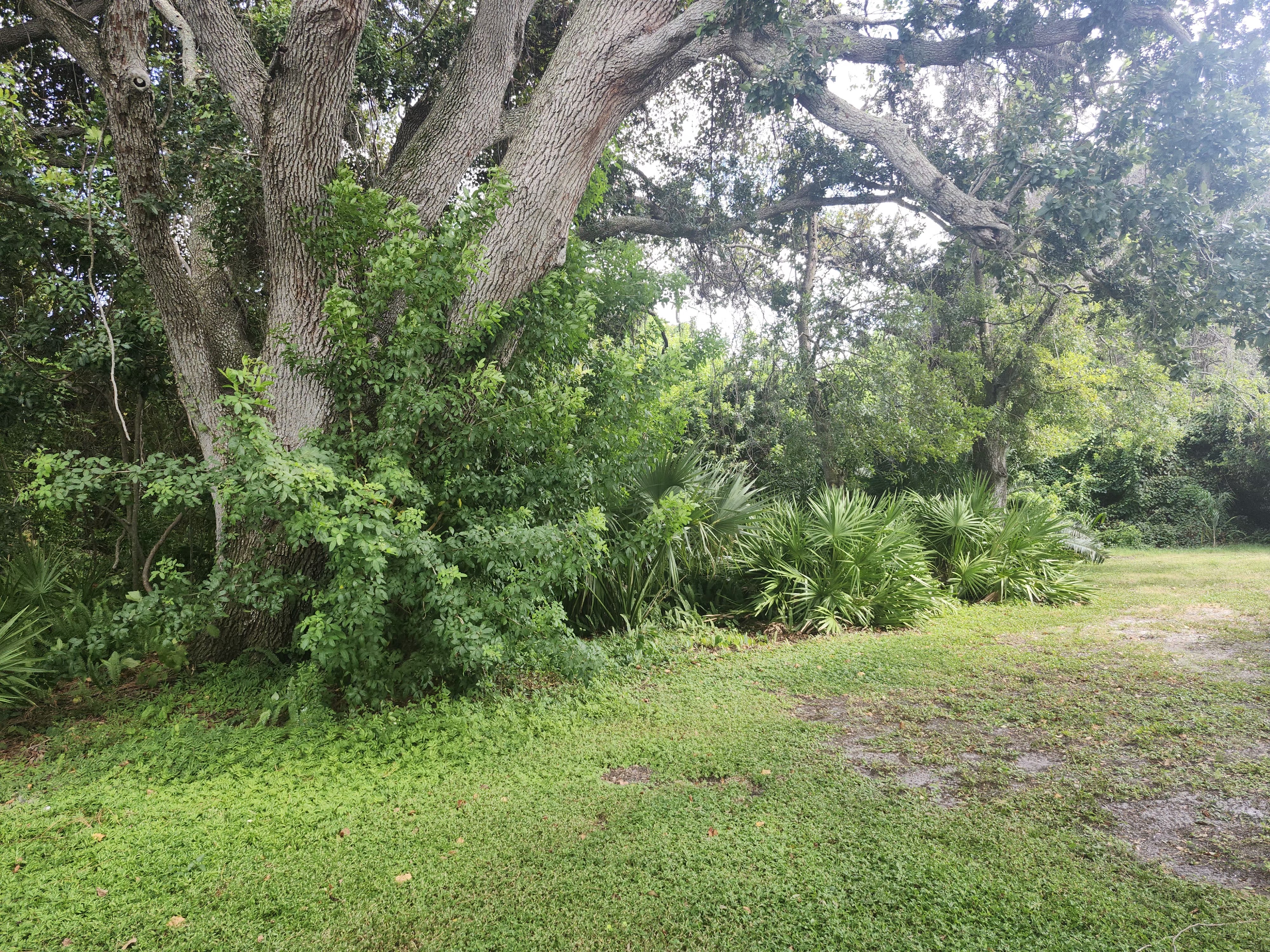 4300 E Bay Drive, Lot 429, Clearwater, Florida 33764, 2 Bedrooms Bedrooms, ,1 BathroomBathrooms,55-Plus Mobile Home,For Sale,E Bay Drive, Lot 429,4136