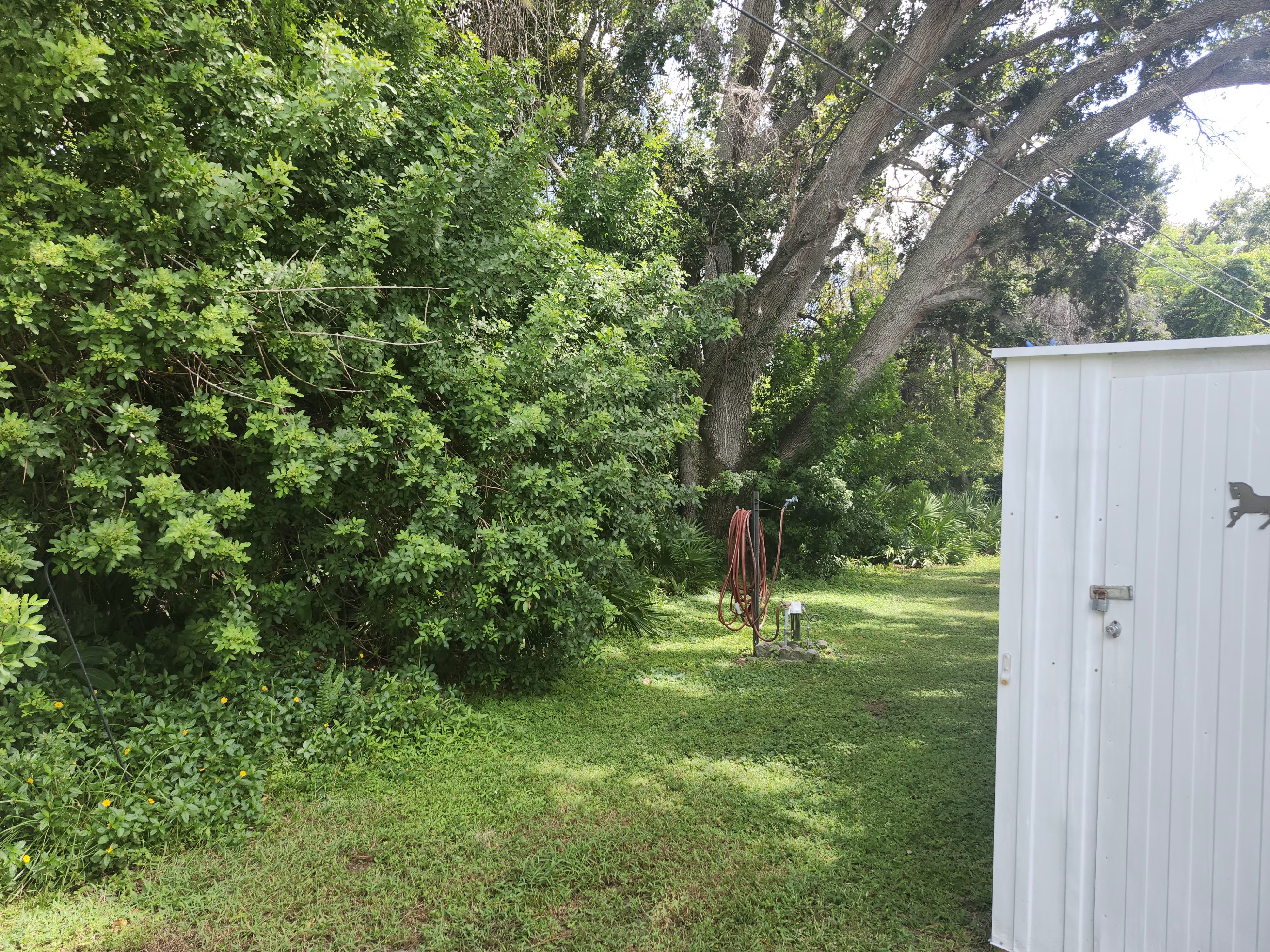 4300 E Bay Drive, Lot 429, Clearwater, Florida 33764, 2 Bedrooms Bedrooms, ,1 BathroomBathrooms,55-Plus Mobile Home,For Sale,E Bay Drive, Lot 429,4136