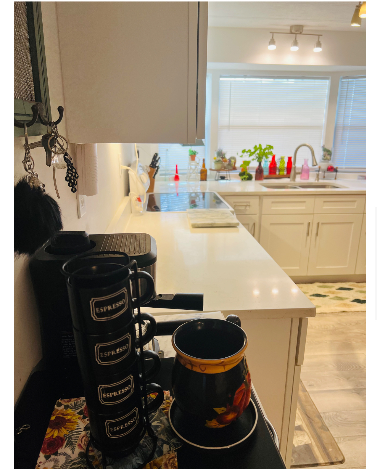 3919 Countryside Drive, Ellenton, Florida 34222, 2 Bedrooms Bedrooms, ,2 BathroomsBathrooms,55-Plus Mobile Home,For Sale,Countryside Drive,4141
