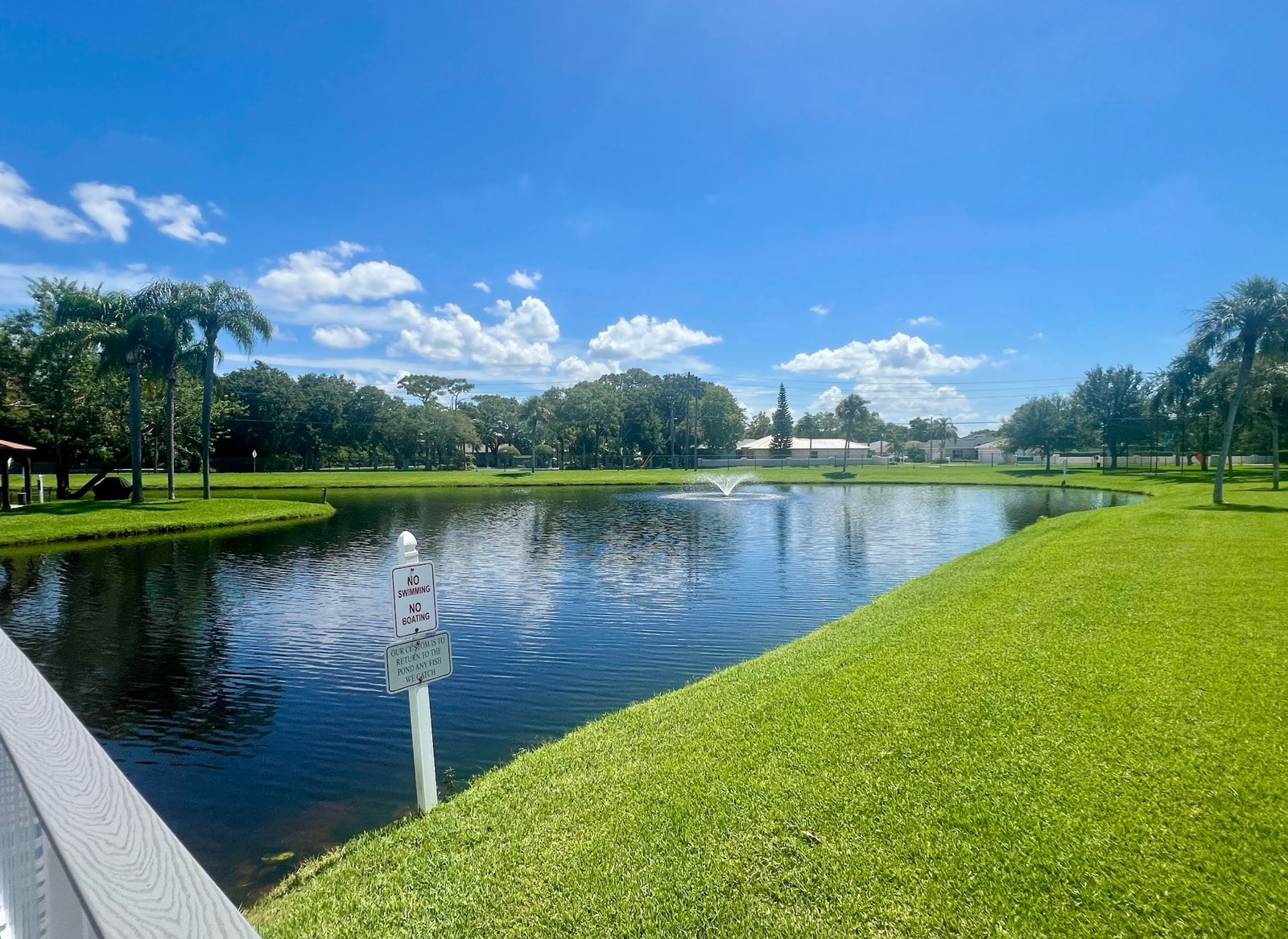 3113 State Road 580, Lot 97, Safety Harbor, Florida 34695, 2 Bedrooms Bedrooms, ,2 BathroomsBathrooms,55-Plus Mobile Home,For Sale,State Road 580, Lot 97,4163