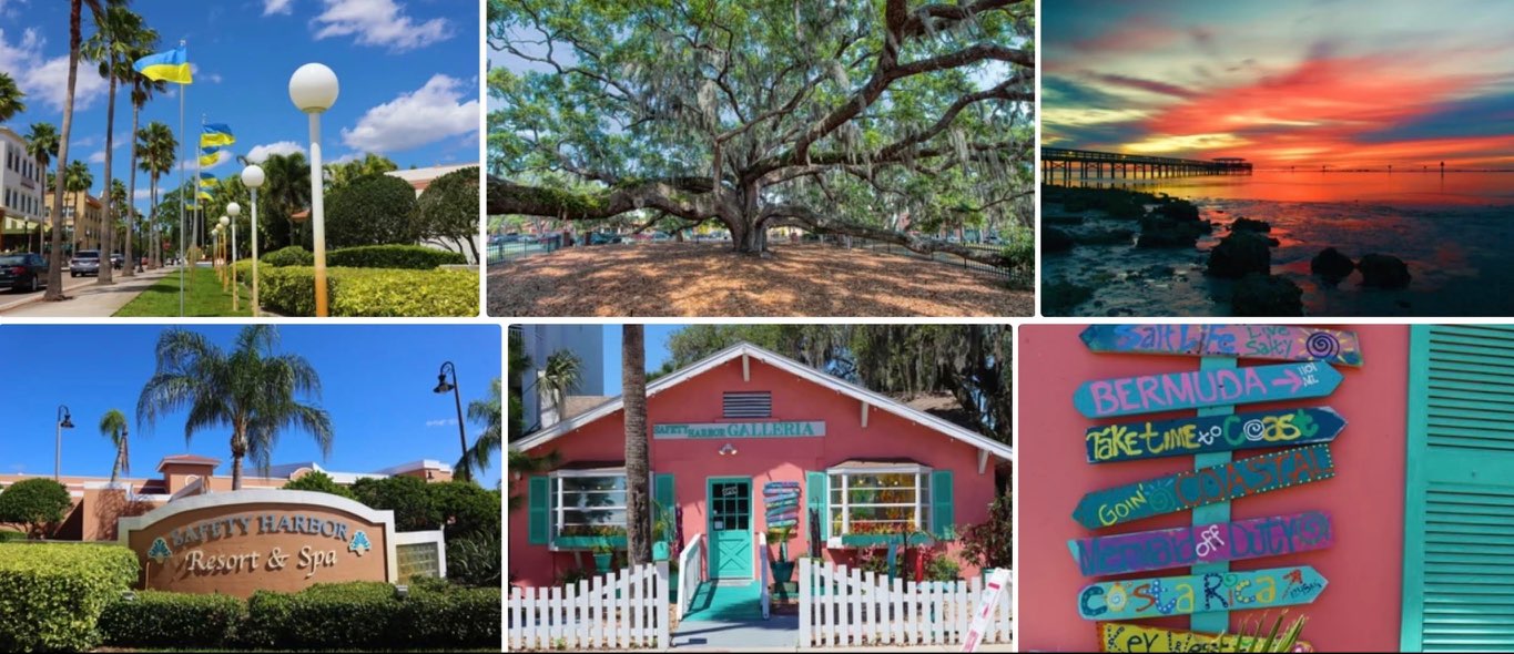 3113 State Road 580, Lot 97, Safety Harbor, Florida 34695, 2 Bedrooms Bedrooms, ,2 BathroomsBathrooms,55-Plus Mobile Home,For Sale,State Road 580, Lot 97,4163