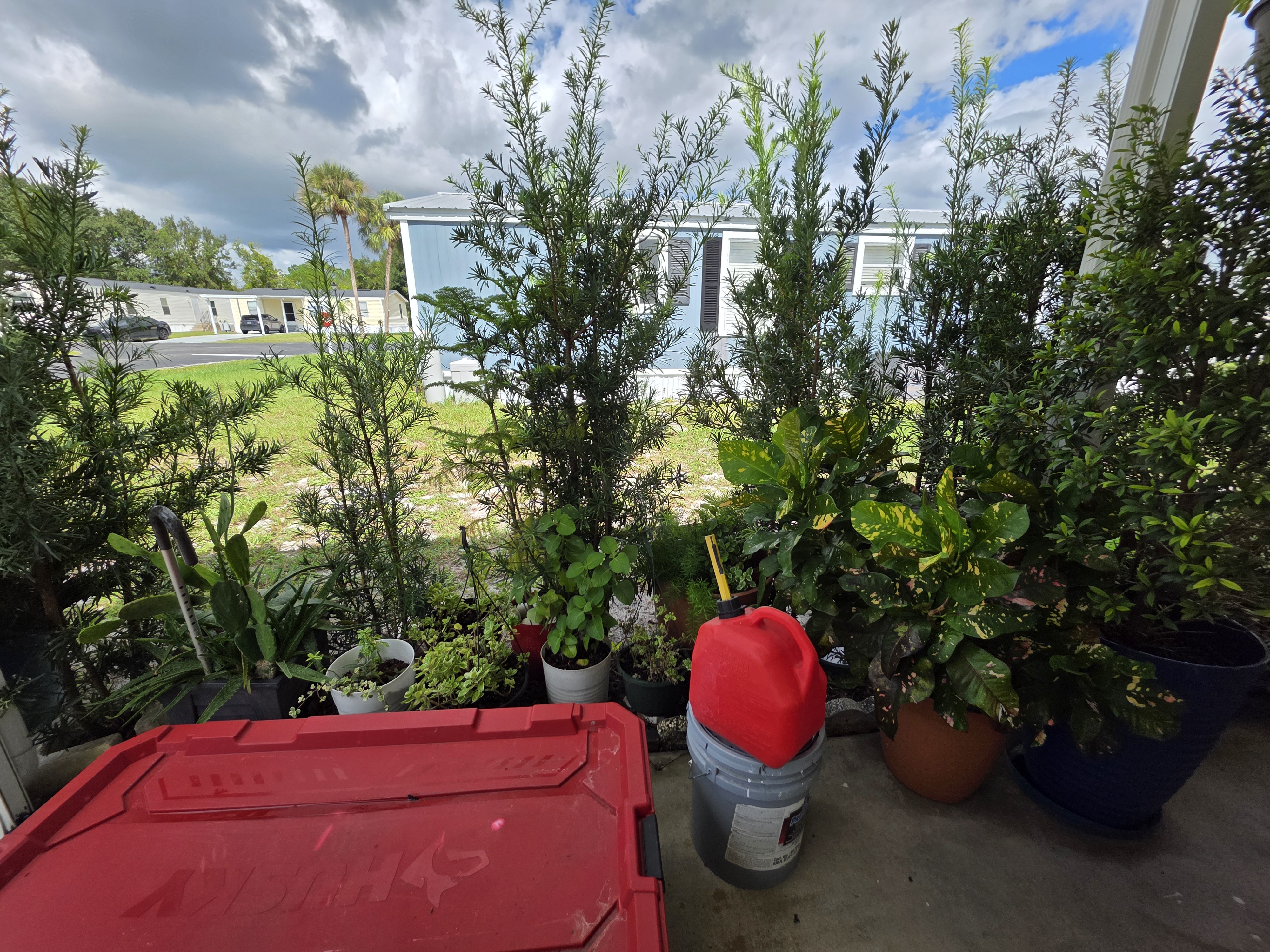 4865 Huffy Ct, Lot105, Lake Wales, Florida 33859, 2 Bedrooms Bedrooms, ,1 BathroomBathrooms,All - Age Mobile Home,For Sale,Huffy Ct, Lot105,4164