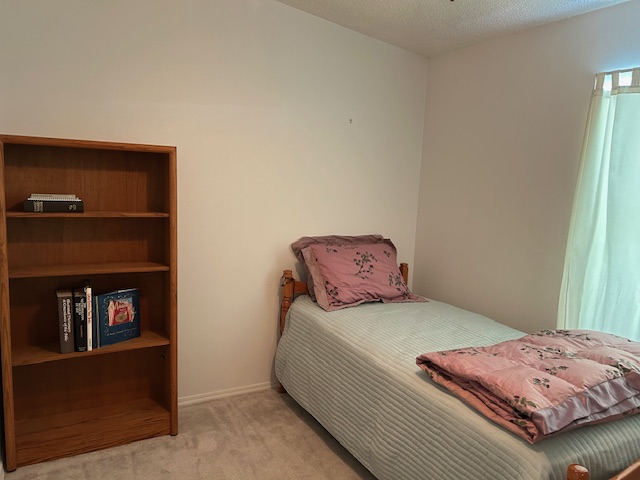 6606 John Avenue, Ellenton, Florida 34222, 2 Bedrooms Bedrooms, ,2 BathroomsBathrooms,55-Plus Mobile Home,For Sale,John Avenue,4172