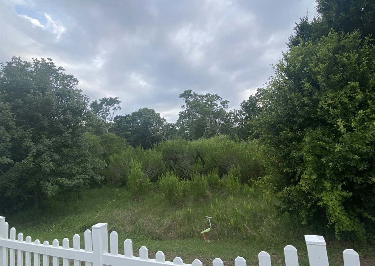 100 Hampton Road, Lot 10, Clearwater, Florida 33759, 2 Bedrooms Bedrooms, ,2 BathroomsBathrooms,55-Plus Mobile Home,For Sale,Hampton Road, Lot 10,4192