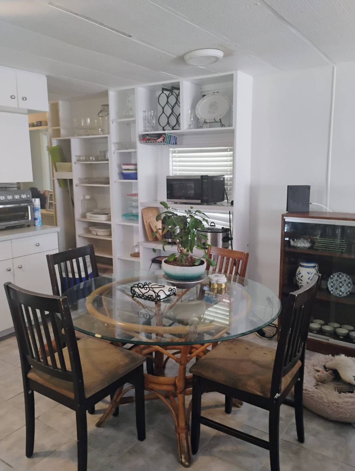 6030 150th Avenue N, Lot 11, Clearwater, Florida 33760, 3 Bedrooms Bedrooms, ,3 BathroomsBathrooms,55-Plus Mobile Home,For Sale,150th Avenue N, Lot 11,4206