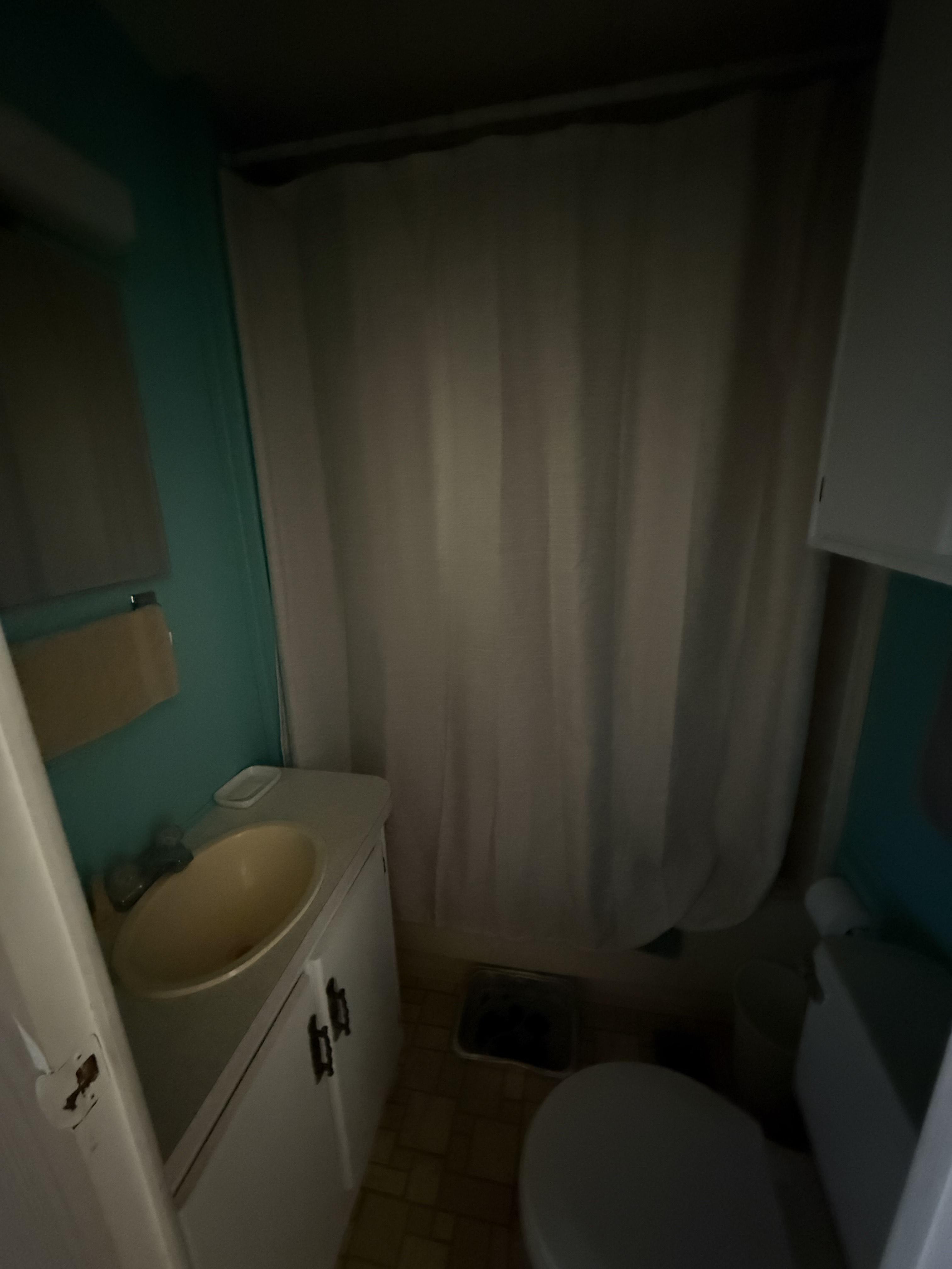 3331 Gall Blvd, Lot 87, Zephyrhills, Florida 33541, 1 Bedroom Bedrooms, ,1 BathroomBathrooms,55-Plus Mobile Home,For Sale,Gall Blvd, Lot 87,4207