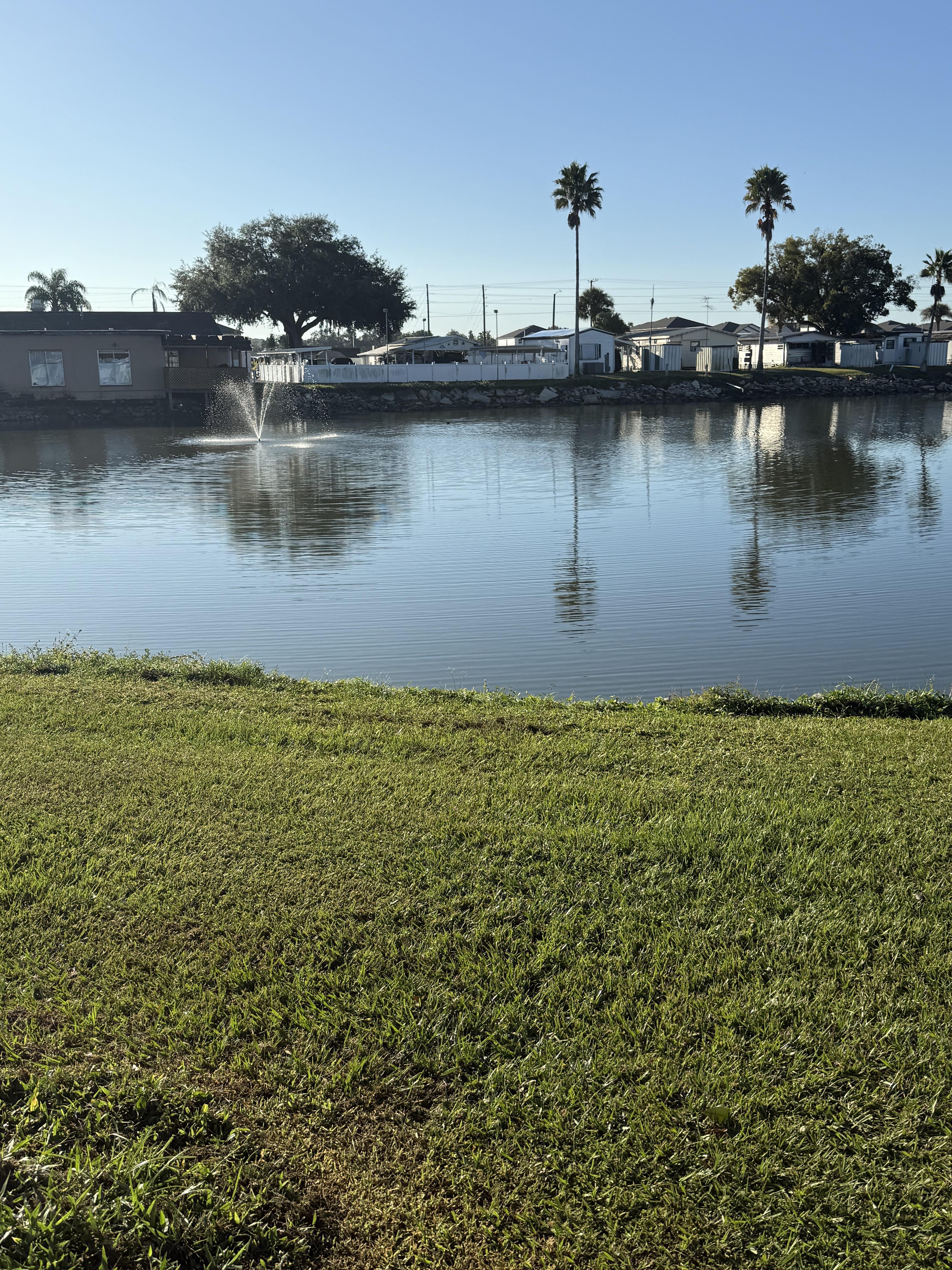 3331 Gall Blvd, Lot 87, Zephyrhills, Florida 33541, 1 Bedroom Bedrooms, ,1 BathroomBathrooms,55-Plus Mobile Home,For Sale,Gall Blvd, Lot 87,4207