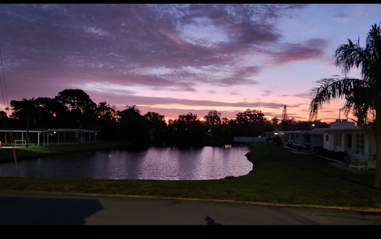 2419 Gulf to Bay Blvd, Lot 910, Clearwater, Florida 33765, 2 Bedrooms Bedrooms, ,1 BathroomBathrooms,55-Plus Mobile Home,For Sale,Gulf to Bay Blvd, Lot 910,4210