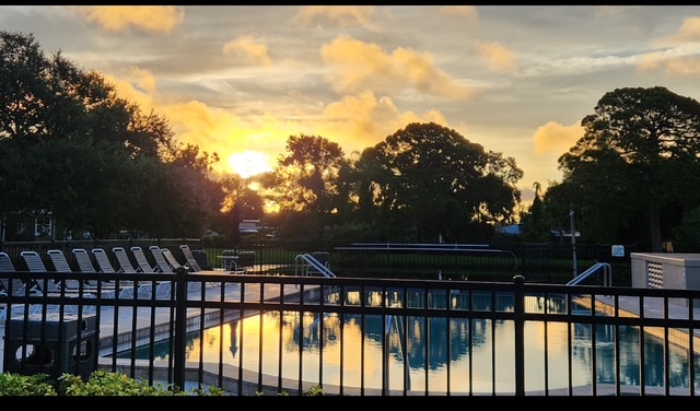 2419 Gulf to Bay Blvd, Lot 910, Clearwater, Florida 33765, 2 Bedrooms Bedrooms, ,1 BathroomBathrooms,55-Plus Mobile Home,For Sale,Gulf to Bay Blvd, Lot 910,4210