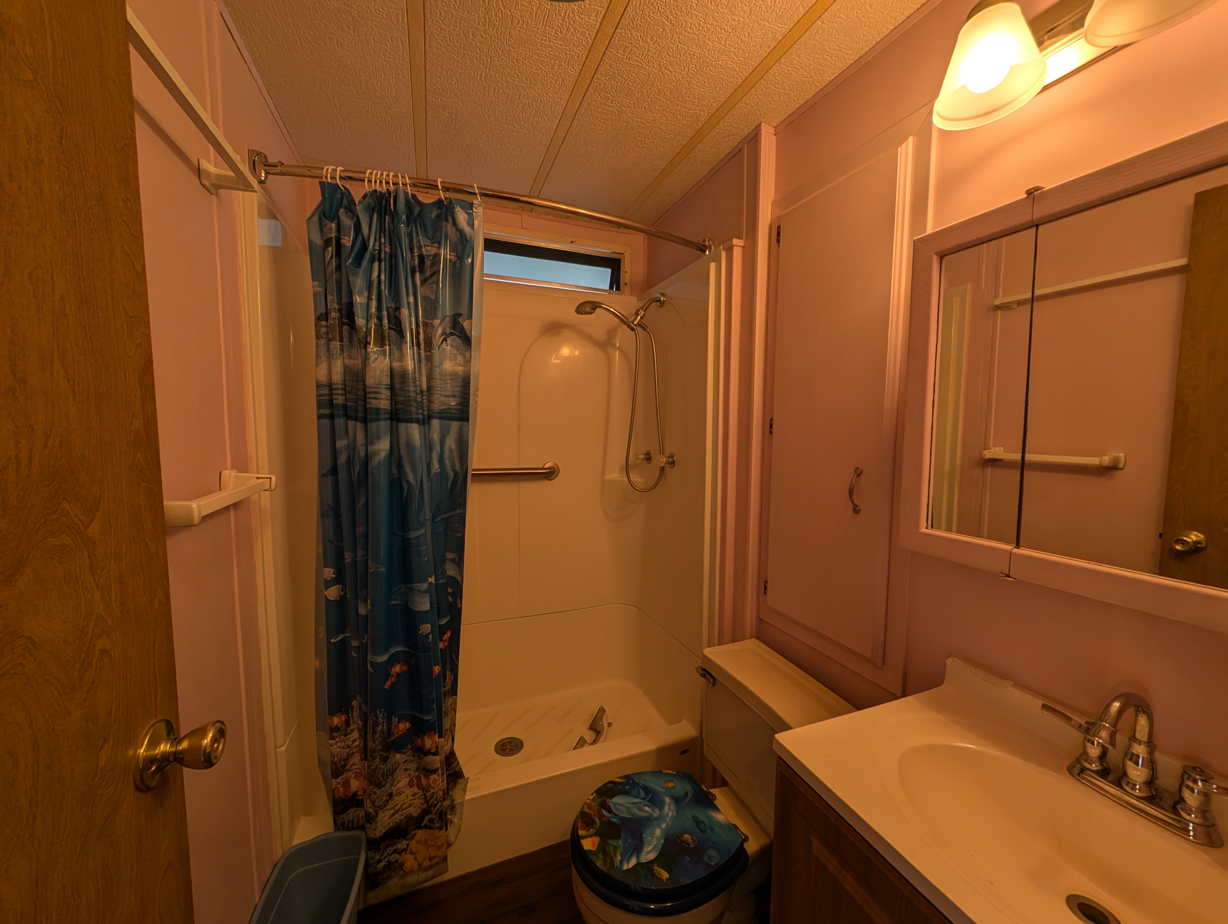 2206 Chaney Drive, Lot 364, Ruskin, Florida 33570, 2 Bedrooms Bedrooms, ,1 BathroomBathrooms,55-Plus Mobile Home,For Sale,Chaney Drive, Lot 364,4214