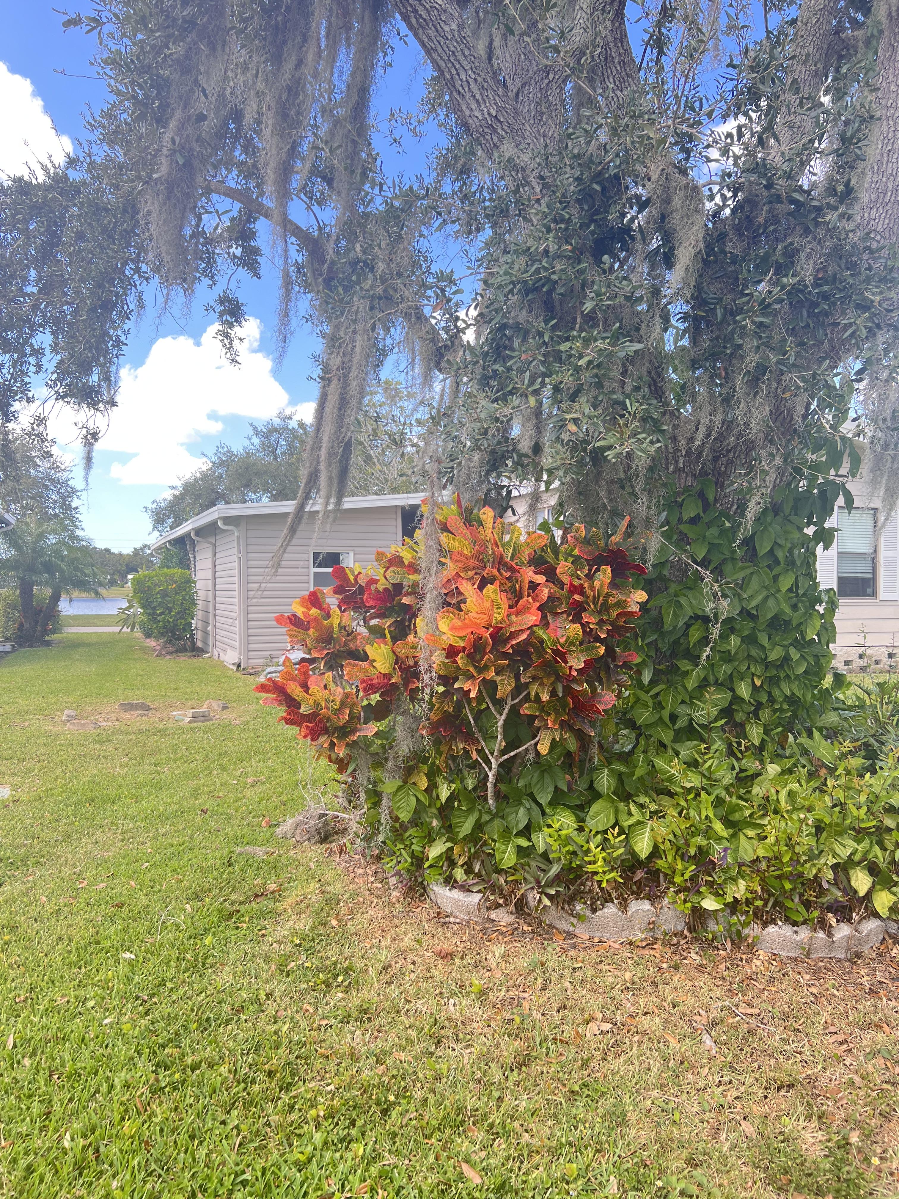 5654 Scarborough Lane, Lot 64, Sarasota, Florida 34241, 2 Bedrooms Bedrooms, ,2 BathroomsBathrooms,55-Plus Mobile Home,For Sale,Scarborough Lane, Lot 64,4216