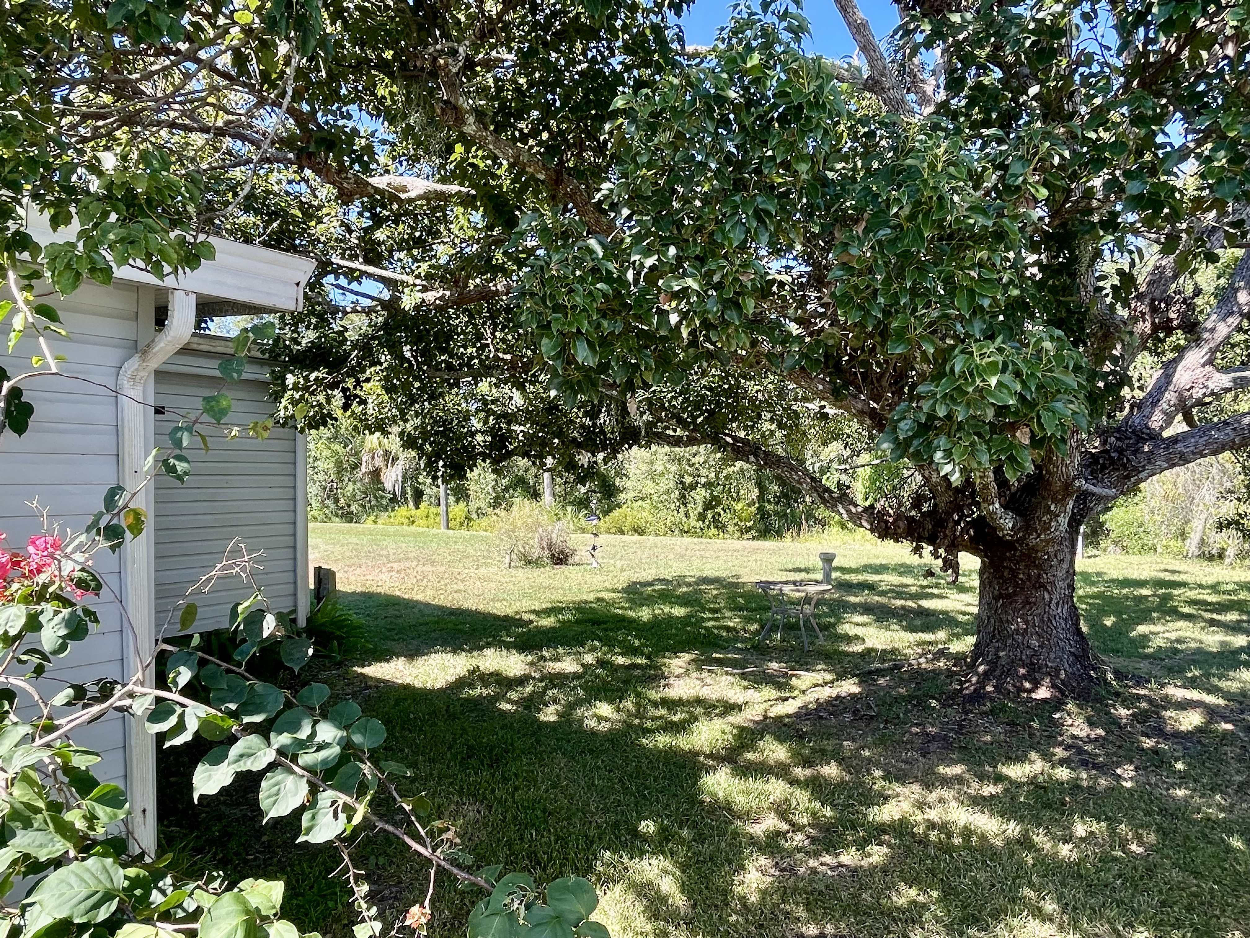 7424 Kings Drive, Ellenton, Florida 34222, 2 Bedrooms Bedrooms, ,2 BathroomsBathrooms,55-Plus Mobile Home,For Sale,Kings Drive,4218