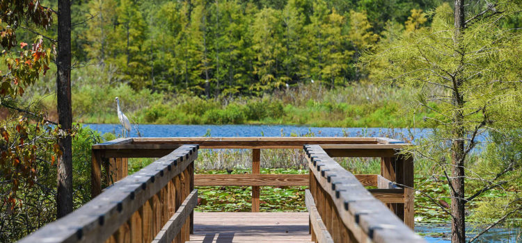 8225 Arevee Drive, Lot 130, New Port Richey, Florida 34653, 1 Bedroom Bedrooms, ,1 BathroomBathrooms,55-Plus Mobile Home,For Sale,Arevee Drive, Lot 130,4231