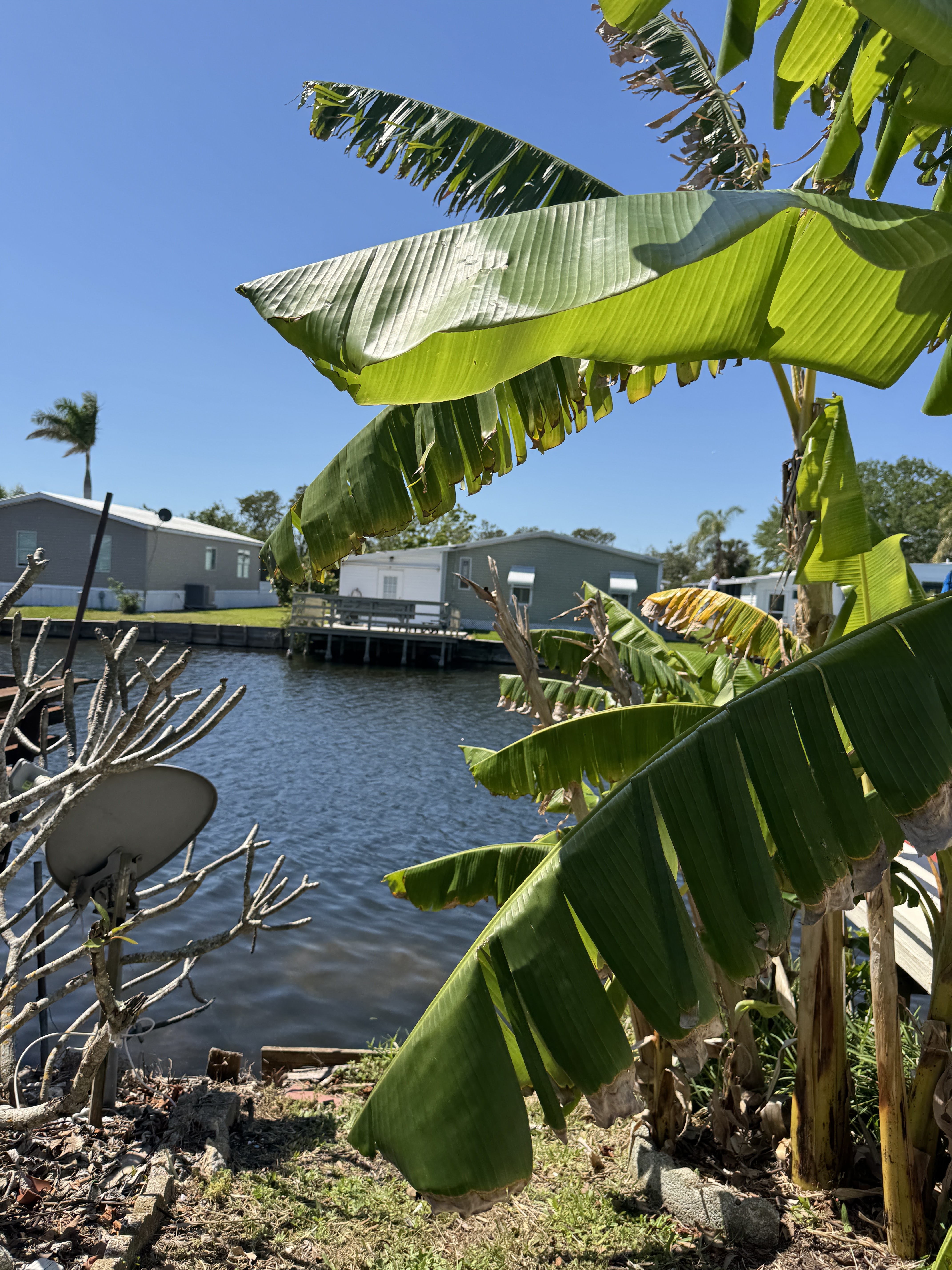 3736 Hula Circle, Ruskin, Florida 33570, 2 Bedrooms Bedrooms, ,1 BathroomBathrooms,All - Age Mobile Home,For Sale,Hula Circle,4234