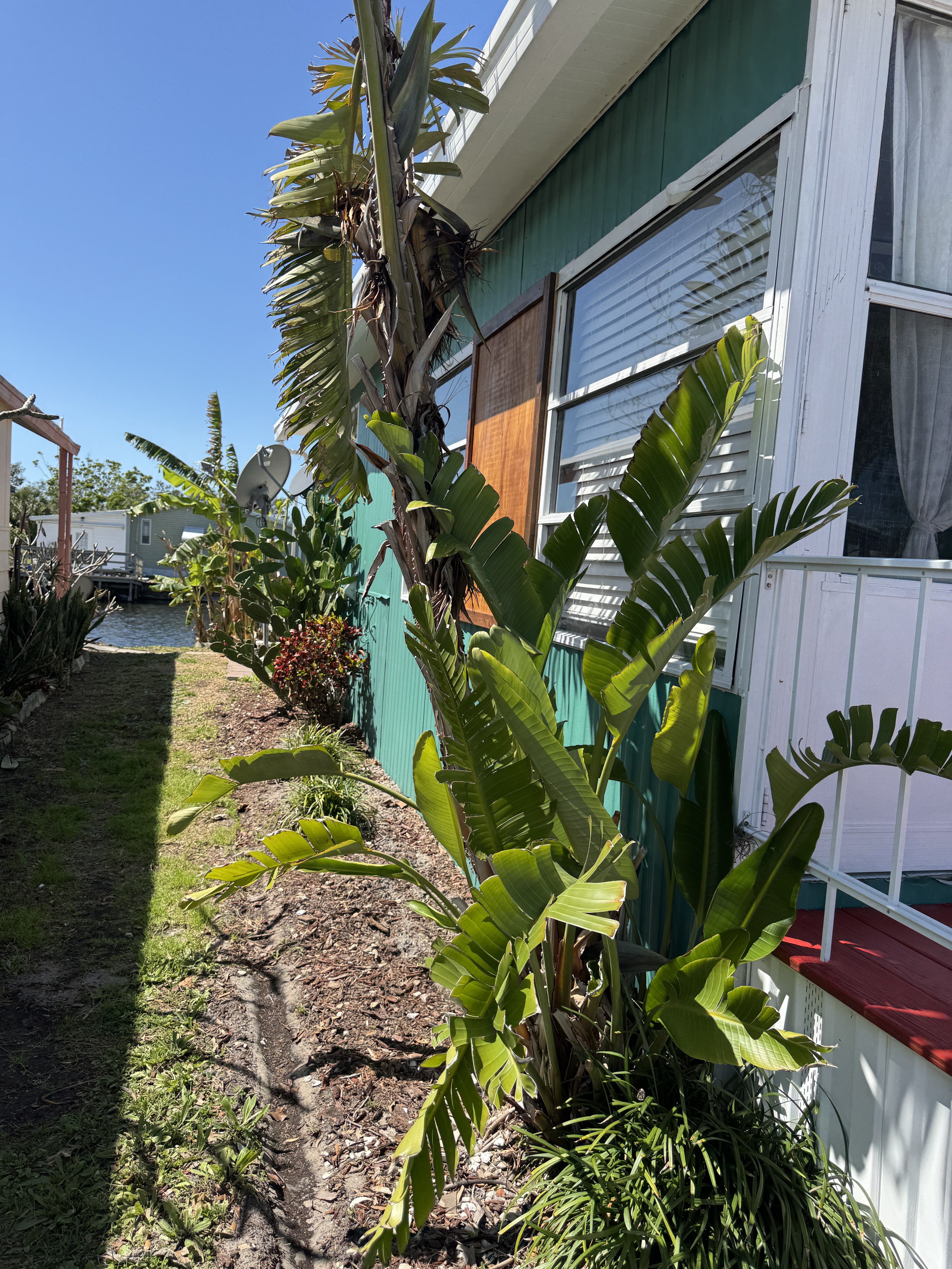 3736 Hula Circle, Ruskin, Florida 33570, 2 Bedrooms Bedrooms, ,1 BathroomBathrooms,All - Age Mobile Home,For Sale,Hula Circle,4234