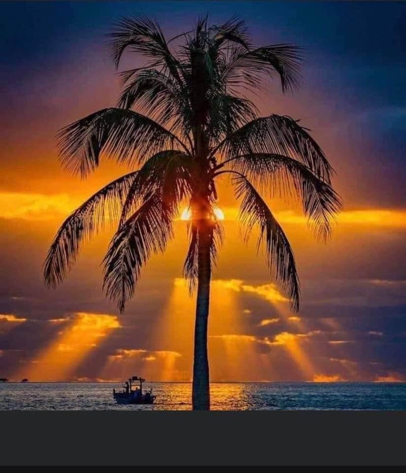 3736 Hula Circle, Ruskin, Florida 33570, 2 Bedrooms Bedrooms, ,1 BathroomBathrooms,All - Age Mobile Home,For Sale,Hula Circle,4234