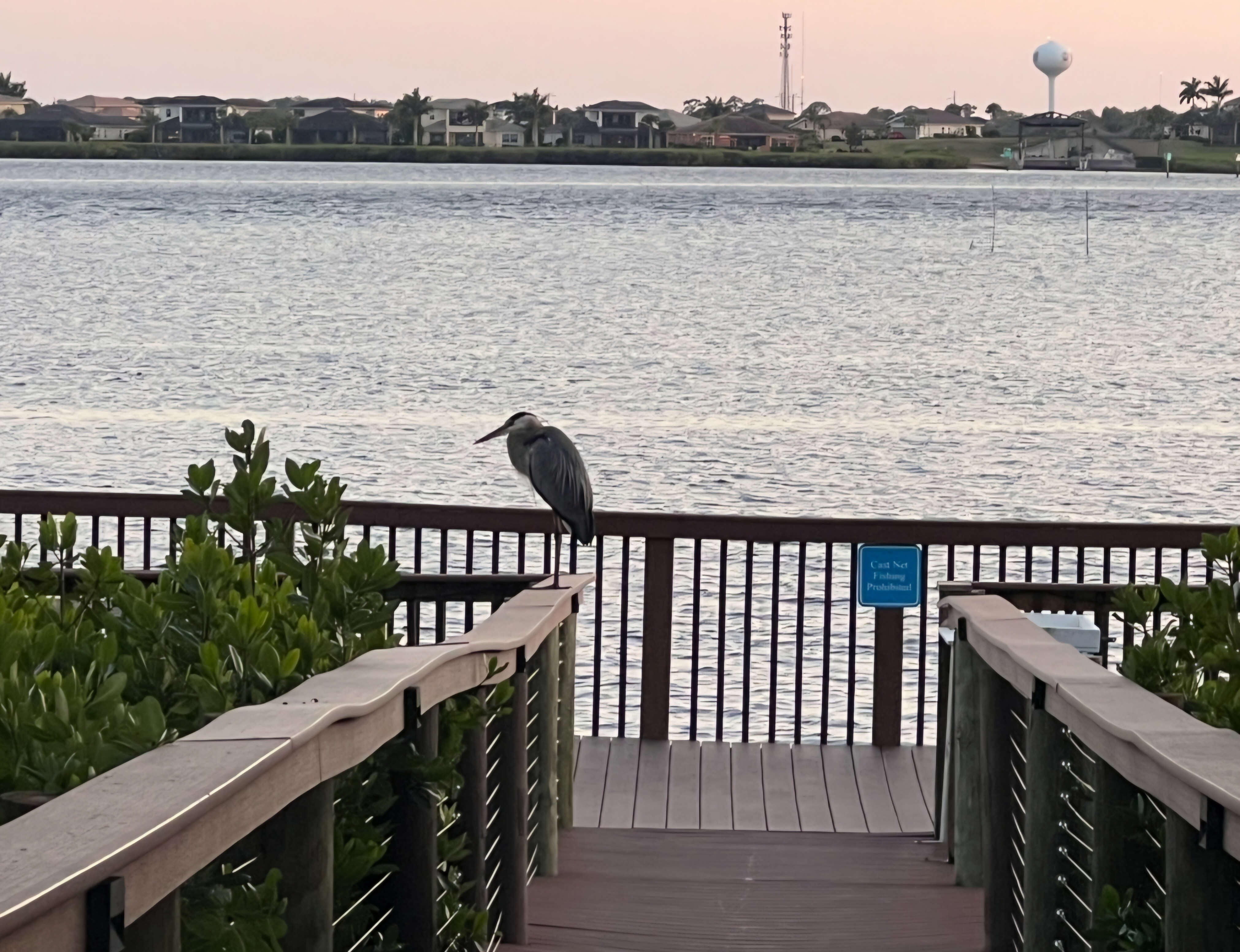 3523 Campari Drive, Ellenton, Florida 34222, 3 Bedrooms Bedrooms, ,2 BathroomsBathrooms,55-Plus Mobile Home,For Sale,Campari Drive,4236