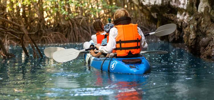 8225 Arevee Drive, Lot 130, New Port Richey, Florida 34653, 1 Bedroom Bedrooms, ,1 BathroomBathrooms,55-Plus Mobile Home,For Sale,Arevee Drive, Lot 130,4238