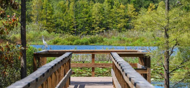 8225 Arevee Drive, Lot 130, New Port Richey, Florida 34653, 1 Bedroom Bedrooms, ,1 BathroomBathrooms,55-Plus Mobile Home,For Sale,Arevee Drive, Lot 130,4238