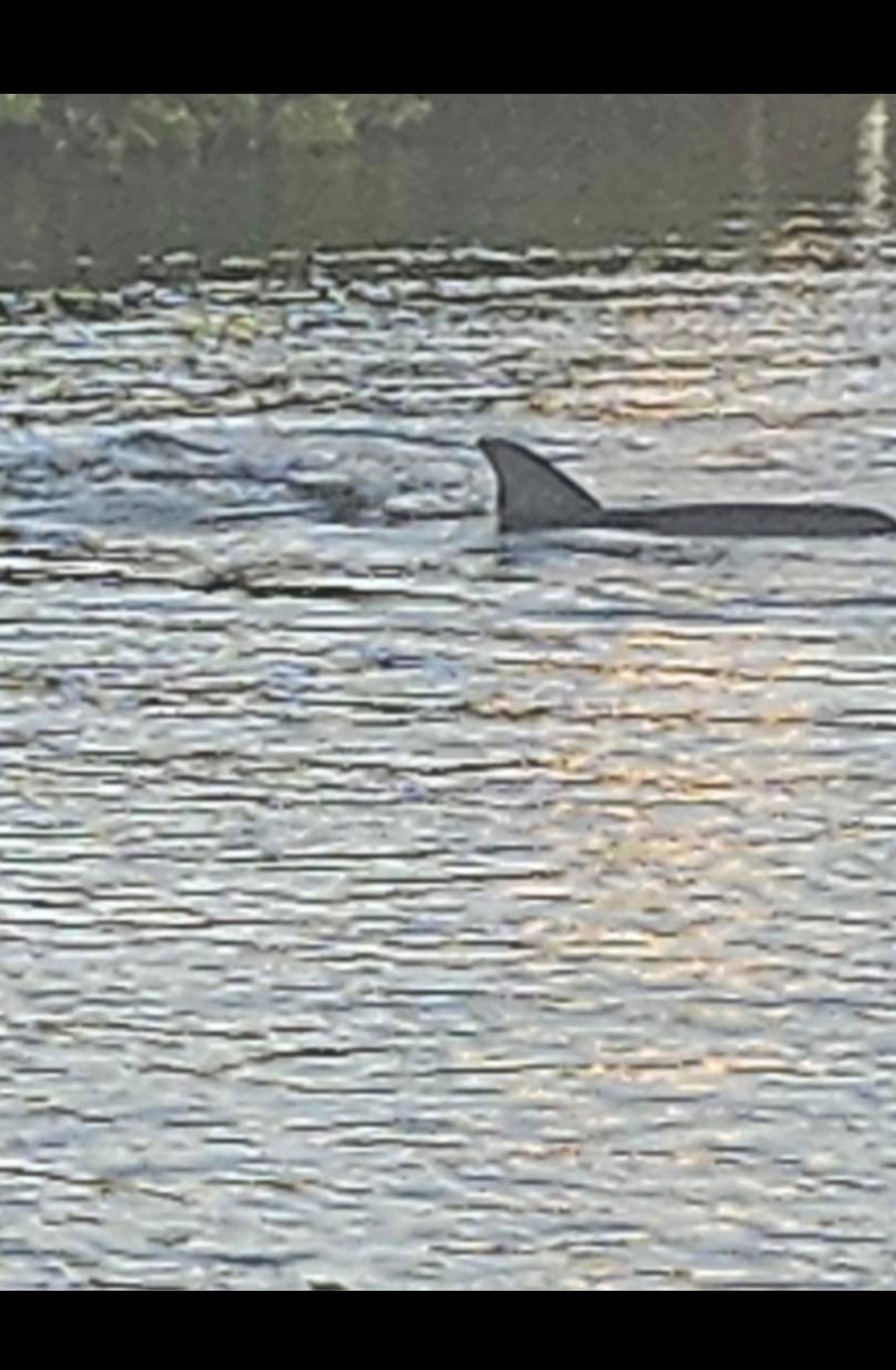 3837 Ali Ala Loop, Ruskin, Florida 33570, 1 Bedroom Bedrooms, ,1.5 BathroomsBathrooms,All - Age Mobile Home,For Sale,Ali Ala Loop,4239