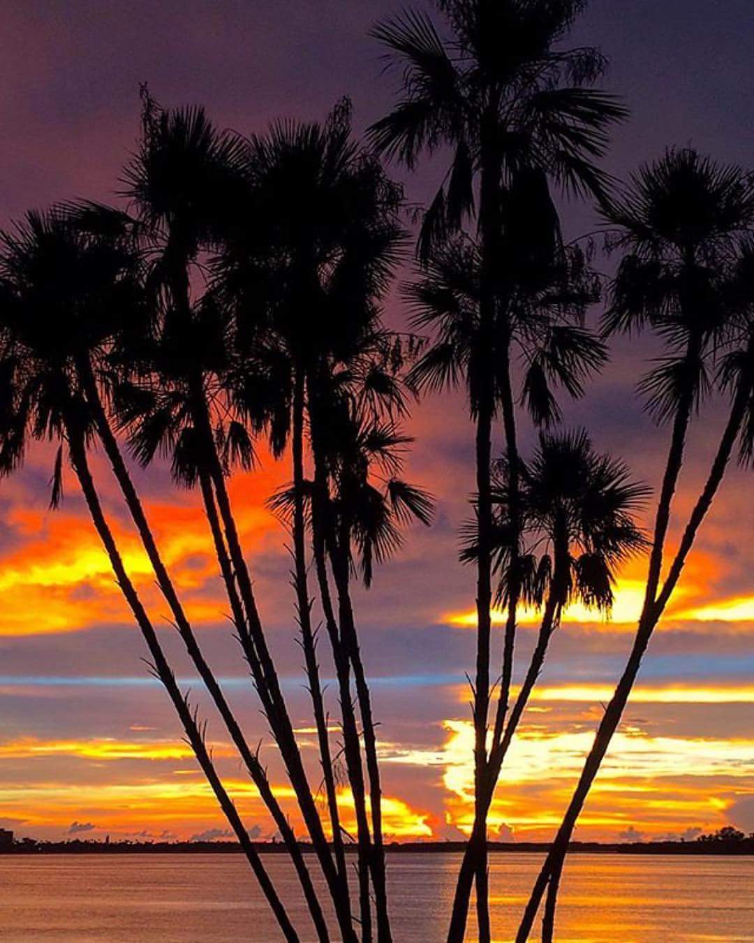 3837 Ali Ala Loop, Ruskin, Florida 33570, 1 Bedroom Bedrooms, ,1.5 BathroomsBathrooms,All - Age Mobile Home,For Sale,Ali Ala Loop,4239