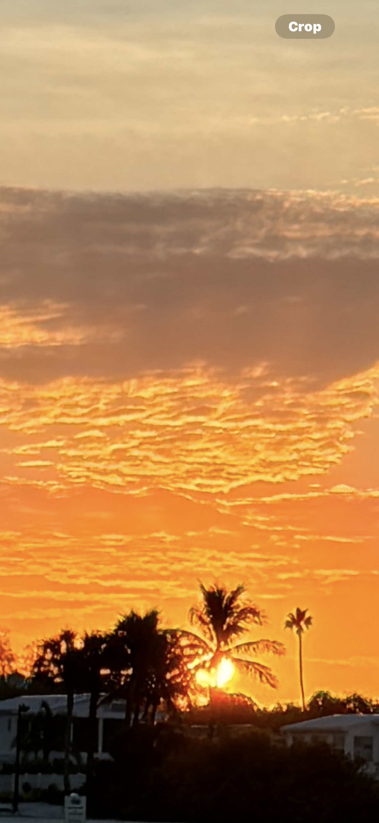 3837 Ali Ala Loop, Ruskin, Florida 33570, 1 Bedroom Bedrooms, ,1.5 BathroomsBathrooms,All - Age Mobile Home,For Sale,Ali Ala Loop,4239