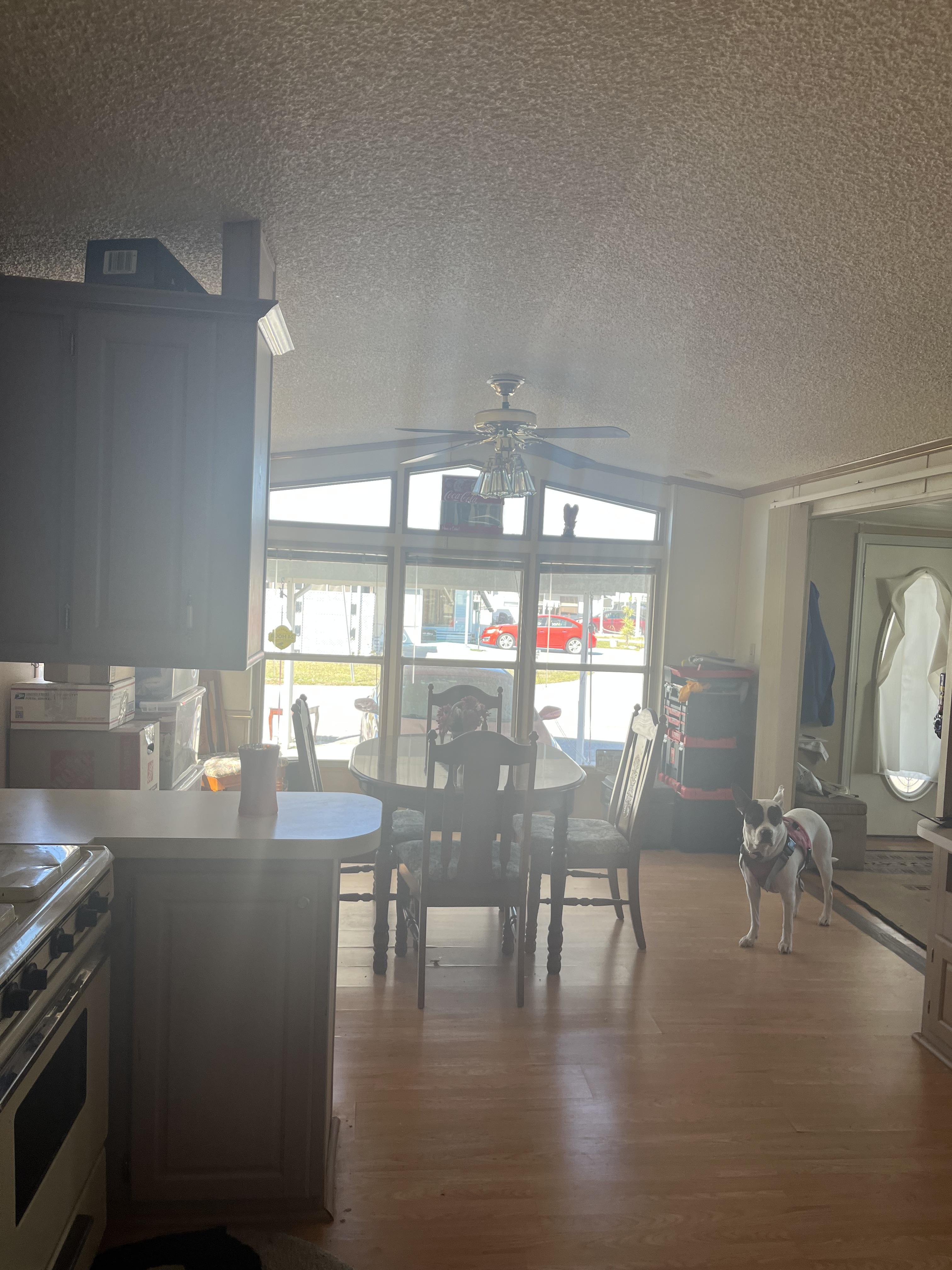 4702 Quebec St, Lot 400, Holiday, Florida 34690, 2 Bedrooms Bedrooms, ,1 BathroomBathrooms,All - Age Mobile Home,For Sale,Quebec St, Lot 400,4241