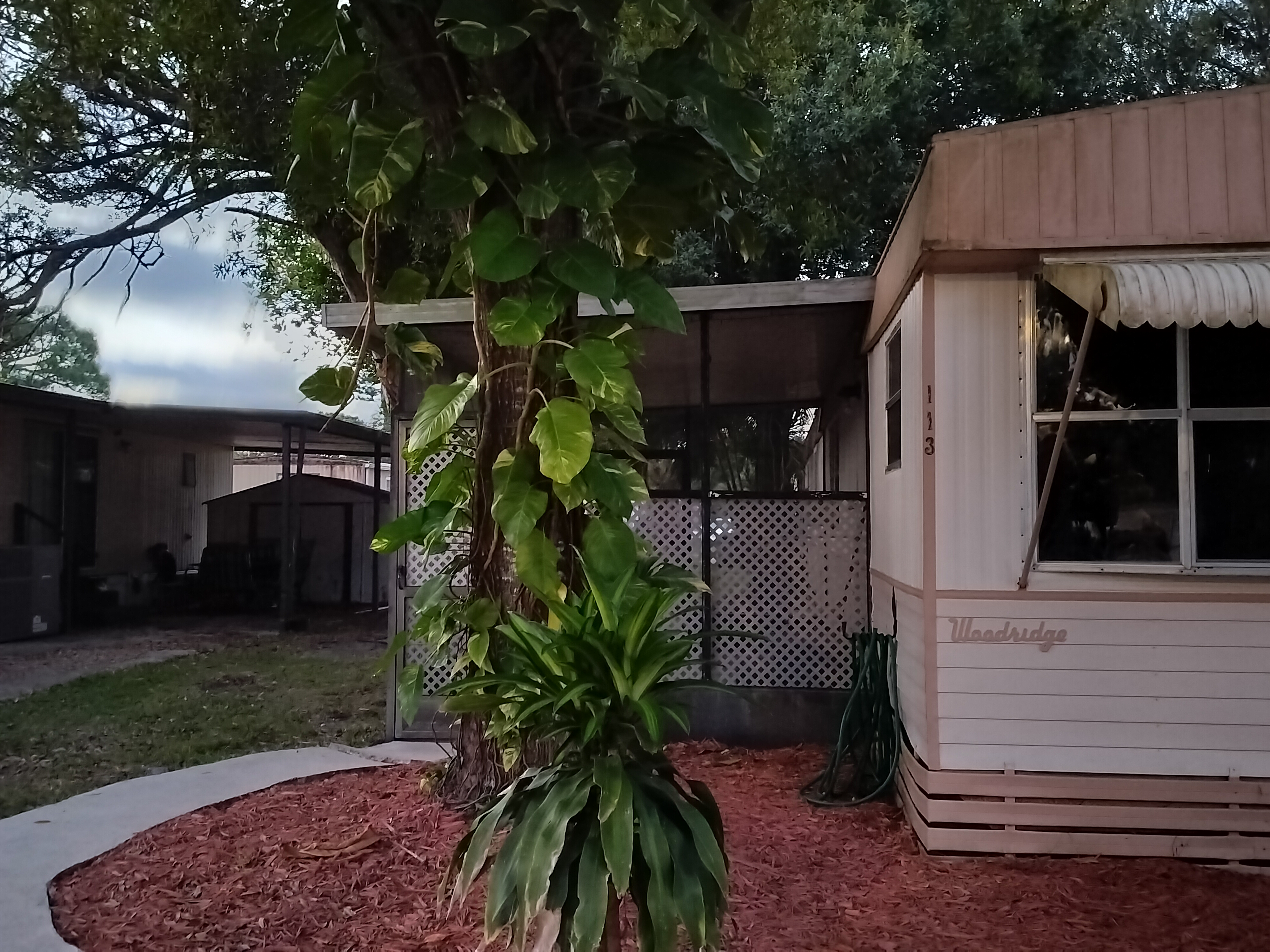 345 E Weatherbee Road, Lot 113, Ft Pierce, Florida 34982, 2 Bedrooms Bedrooms, ,2 BathroomsBathrooms,All - Age Mobile Home,For Sale,E Weatherbee Road, Lot 113,4243