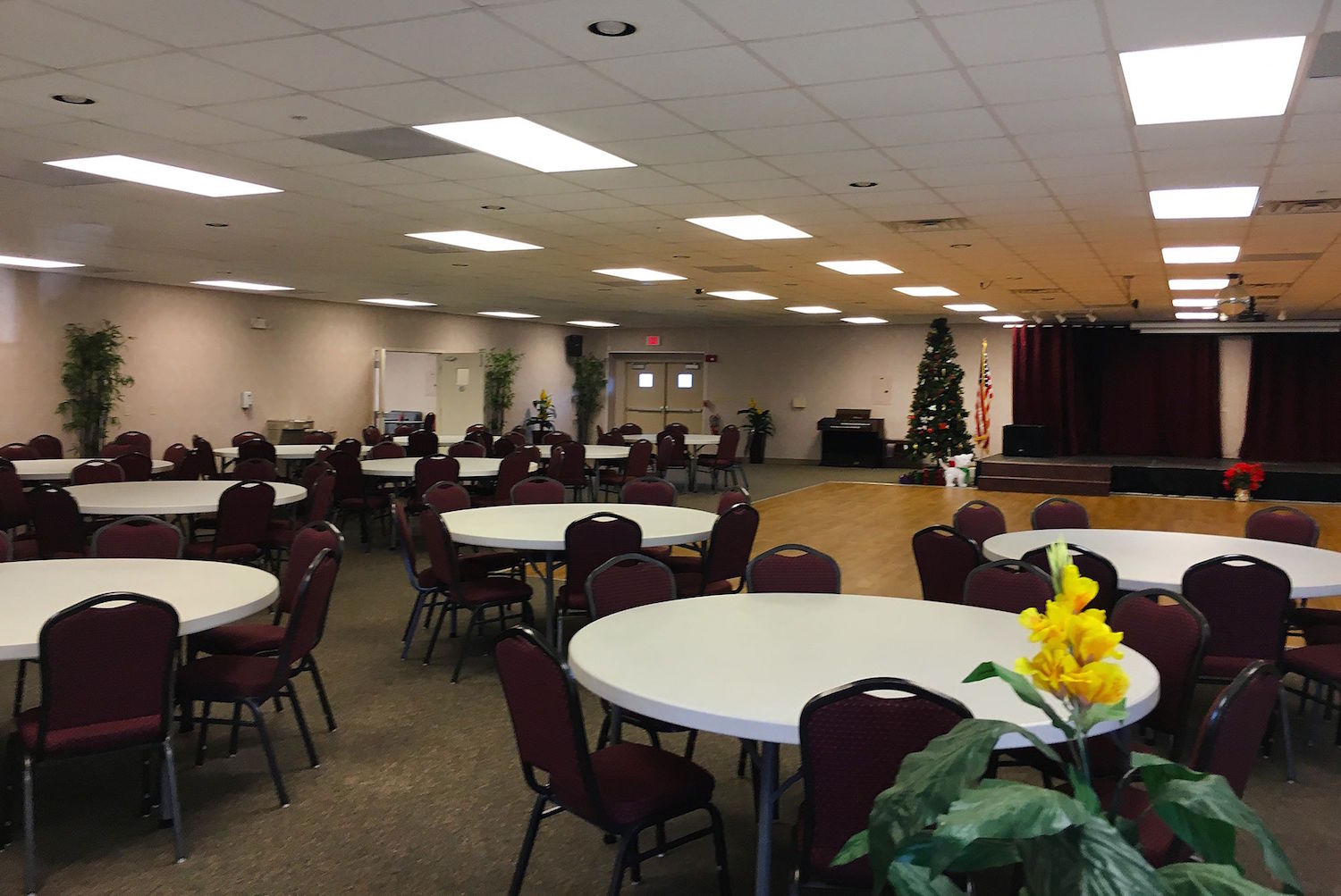 29081 US Hwy 19 N, Lot 339, Clearwater, Florida 33761, 2 Bedrooms Bedrooms, ,2 BathroomsBathrooms,55-Plus Mobile Home,For Sale,US Hwy 19 N, Lot 339,4315