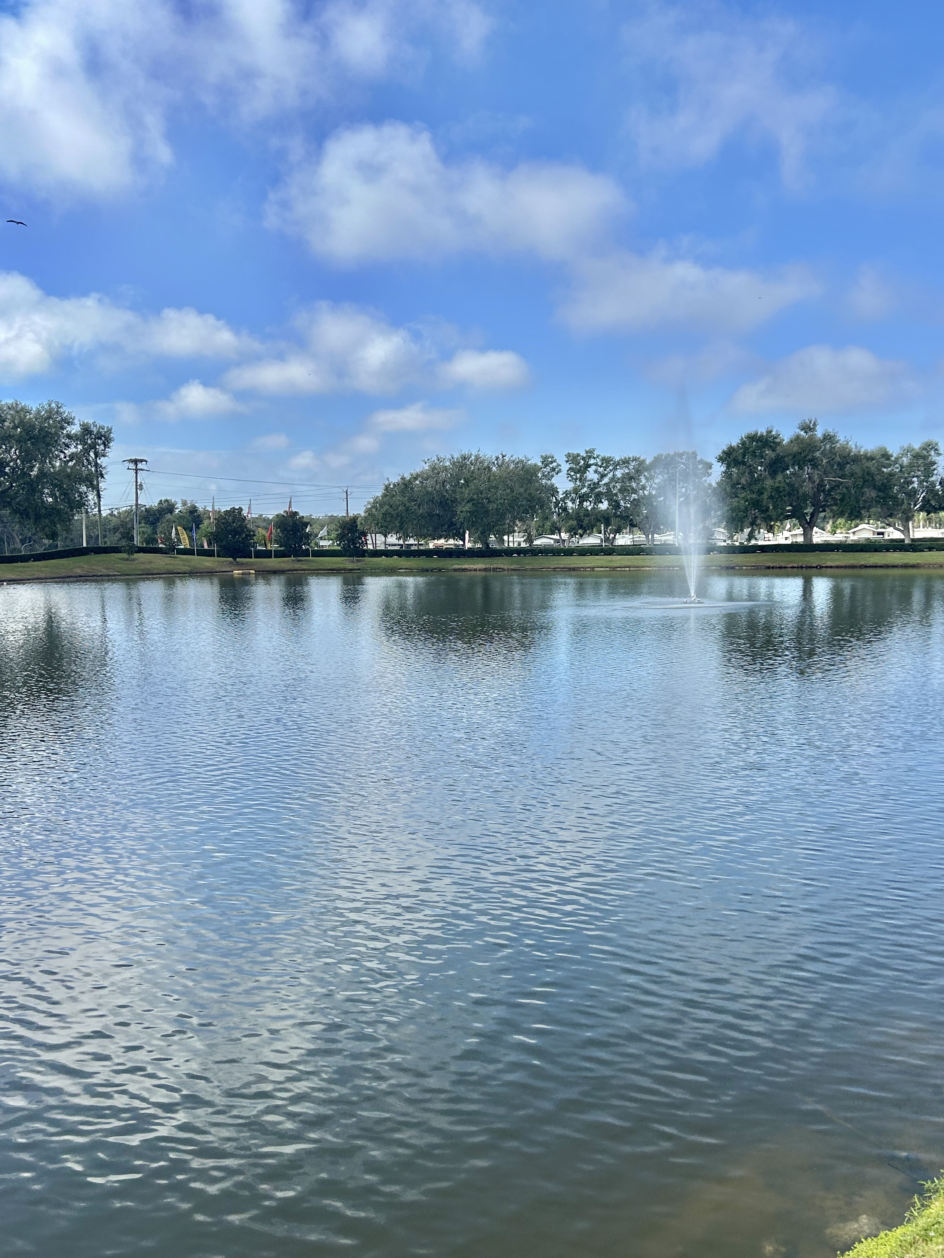 8606 27th Ave E, Palmetto, Florida 34221, 2 Bedrooms Bedrooms, ,2 BathroomsBathrooms,55-Plus Mobile Home,For Sale,27th Ave E,4352