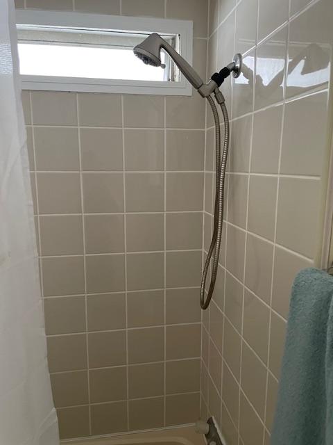 3113 State Rd 580, Lot 56, Safety Harbor, Florida 34695, ,55-Plus Mobile Home,For Sale,State Rd 580, Lot 56,4355