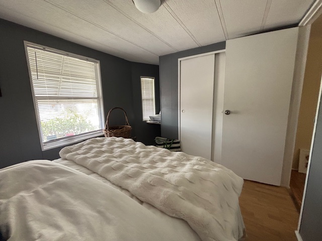 3113 State Rd 580, Lot 56, Safety Harbor, Florida 34695, ,55-Plus Mobile Home,For Sale,State Rd 580, Lot 56,4355