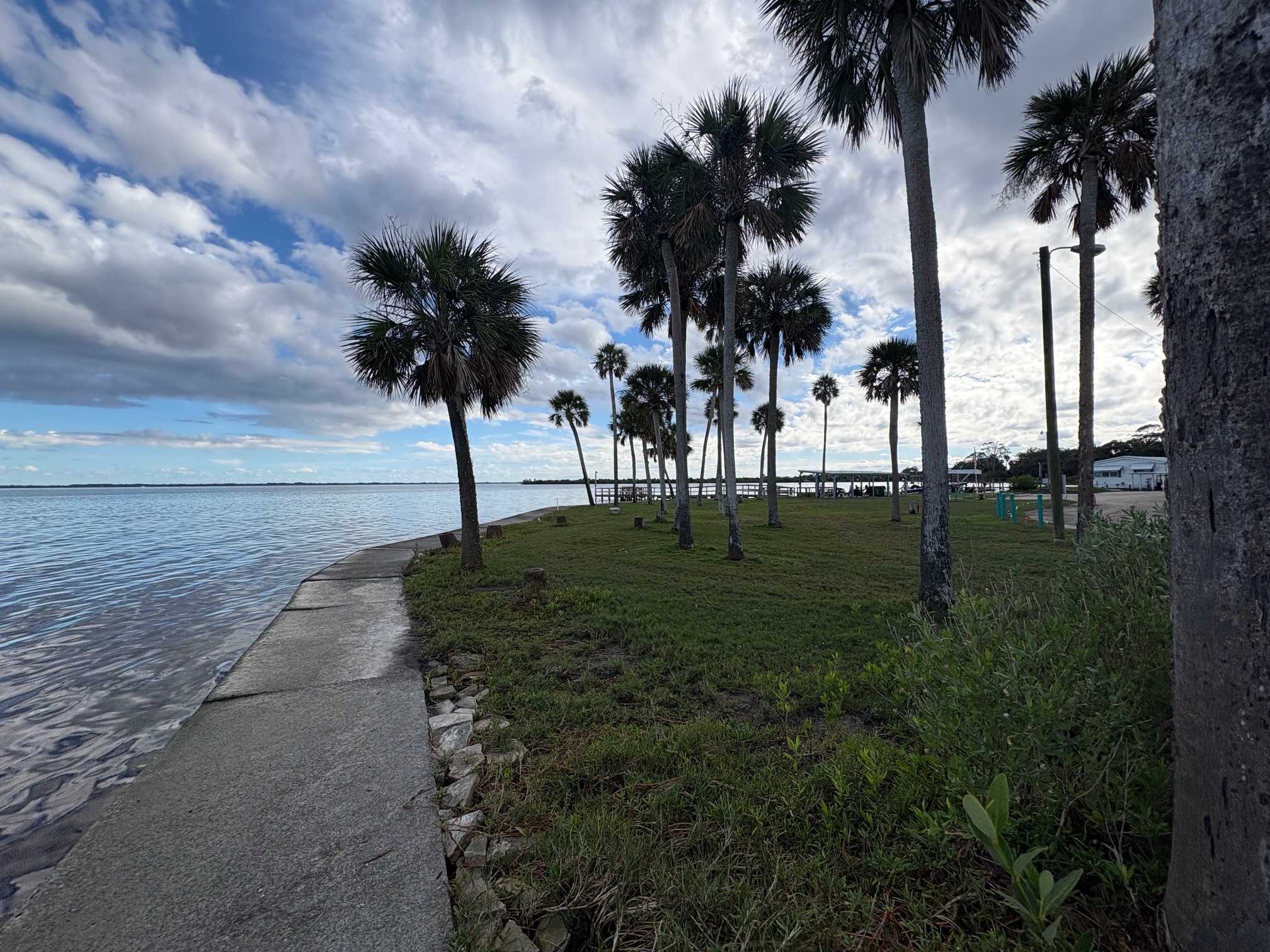 123 Matthew Circle, Titusville, Florida 32780, 2 Bedrooms Bedrooms, ,2 BathroomsBathrooms,55-Plus Mobile Home,For Sale,Matthew Circle,4356