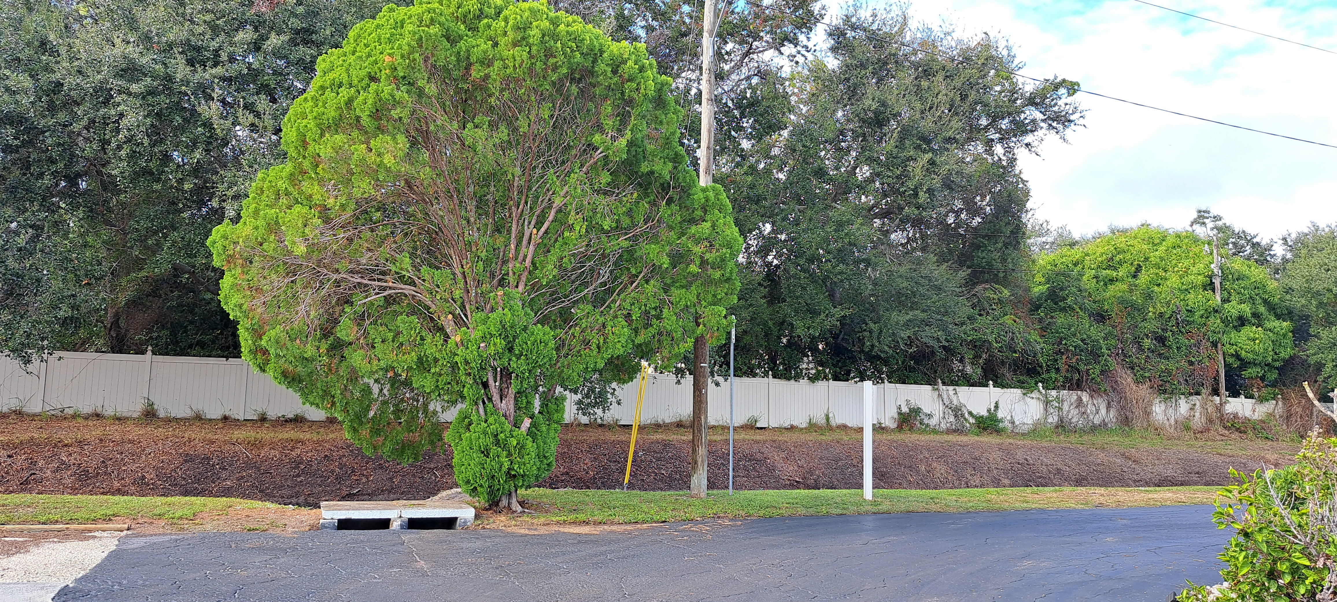 16860 US Hwy 19 N, Lot 562, Clearwater, Florida 33764, 1 Bedroom Bedrooms, ,1 BathroomBathrooms,All - Age Mobile Home,For Sale,US Hwy 19 N, Lot 562,4360