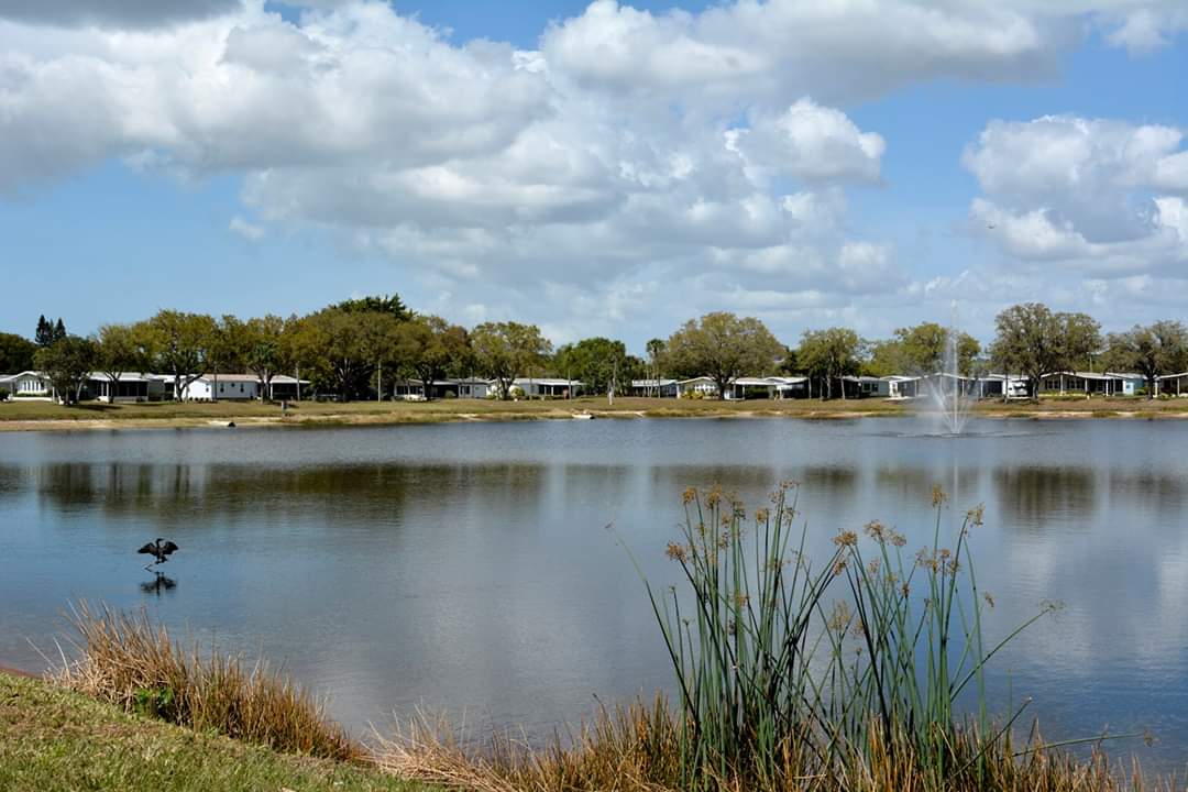 5515 Axminster Dr, Sarasota, Florida 34241, 2 Bedrooms Bedrooms, ,2 BathroomsBathrooms,55-Plus Mobile Home,For Sale,Axminster Dr,4371