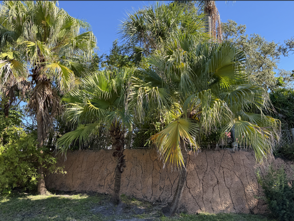 20000 US Hwy 19 N, Lot 607, Clearwater, Florida 33764, 2 Bedrooms Bedrooms, ,1 BathroomBathrooms,55-Plus Mobile Home,For Sale,US Hwy 19 N, Lot 607,4385