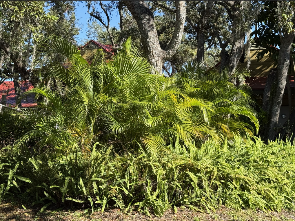 20000 US Hwy 19 N, Lot 607, Clearwater, Florida 33764, 2 Bedrooms Bedrooms, ,1 BathroomBathrooms,55-Plus Mobile Home,For Sale,US Hwy 19 N, Lot 607,4385