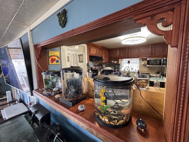 2346 Druid Rd, Lot 627, Clearwater, Florida 33764, 1 Bedroom Bedrooms, ,1 BathroomBathrooms,55-Plus Mobile Home,For Sale,Druid Rd, Lot 627,4410