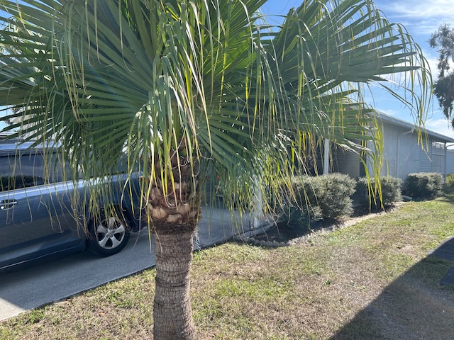 6873 Coconut Grove Cir, Ellenton, Florida 34222, 2 Bedrooms Bedrooms, ,2 BathroomsBathrooms,55-Plus Mobile Home,For Sale,Coconut Grove Cir,4430