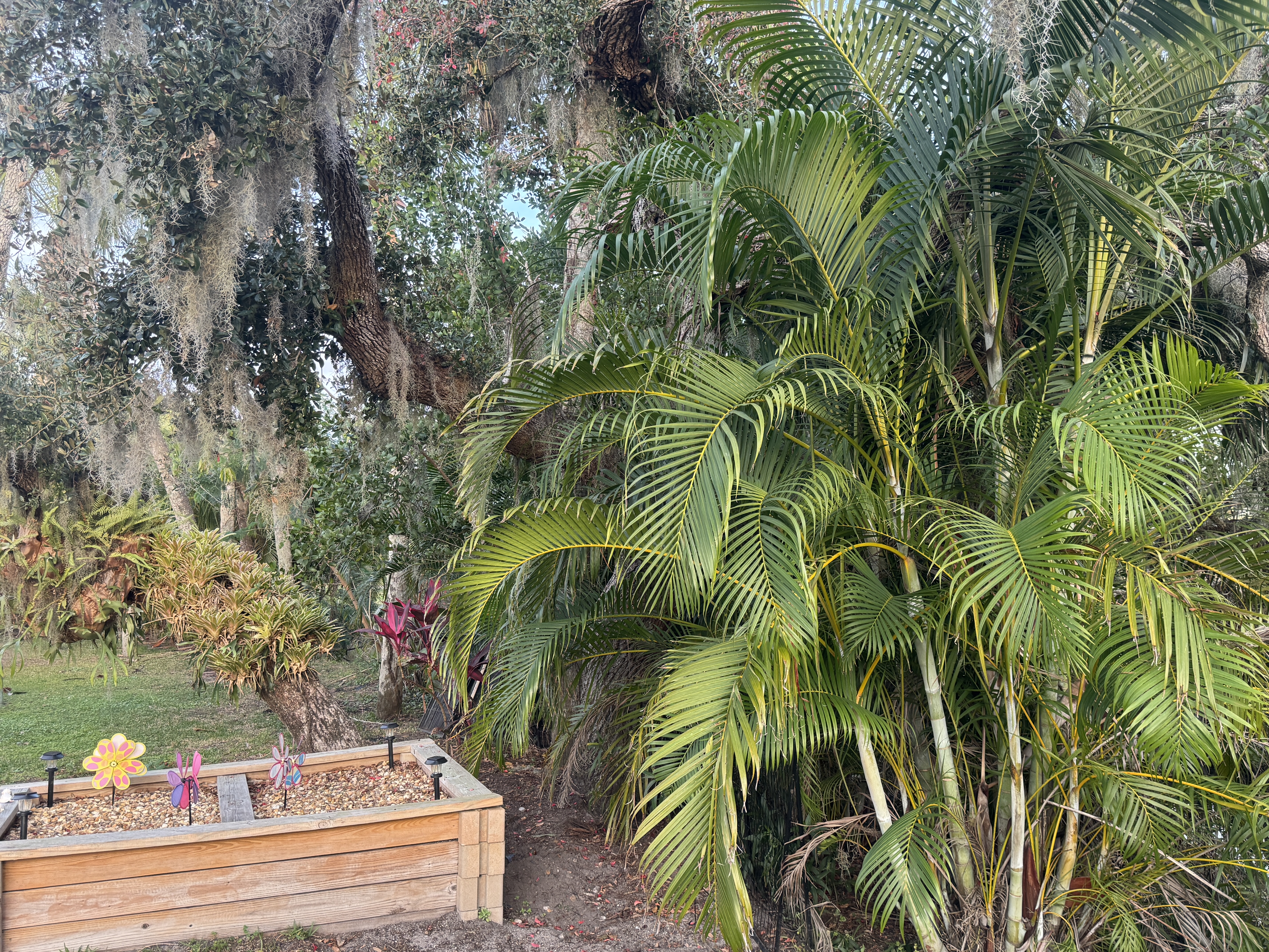 334 Den Helder Ave, Ellenton, Florida 34222, 2 Bedrooms Bedrooms, ,2 BathroomsBathrooms,55-Plus Mobile Home,For Sale,Den Helder Ave,4433