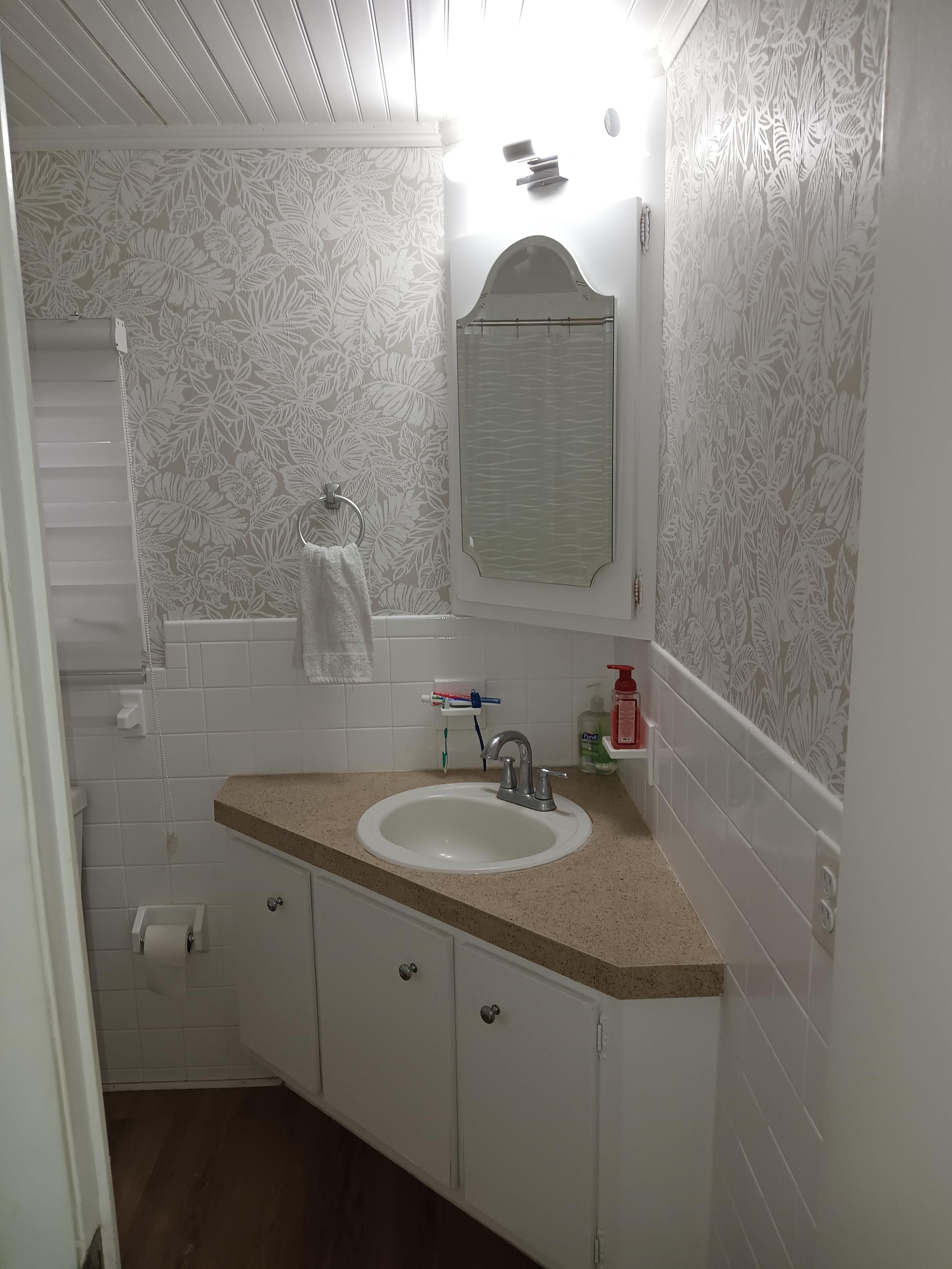 7349 Ulmerton Rd, Lot 159, Largo, Florida 33771, 1 Bedroom Bedrooms, ,1 BathroomBathrooms,55-Plus Mobile Home,For Sale,Ulmerton Rd, Lot 159,4474